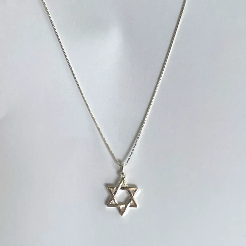 Silver Star of David Necklace