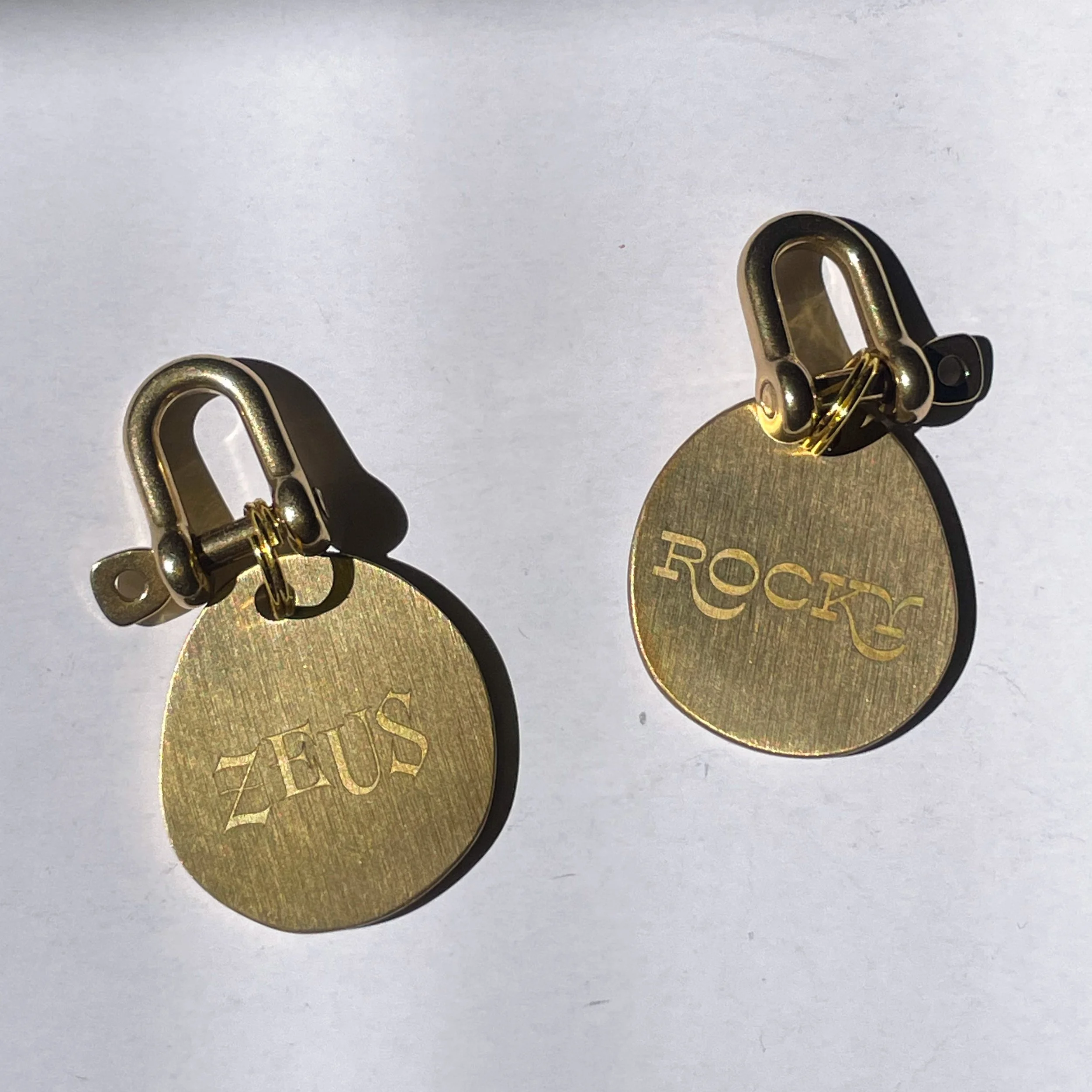 How to Choose the Right Custom Pet ID Tag (And Why It Actually Matters)