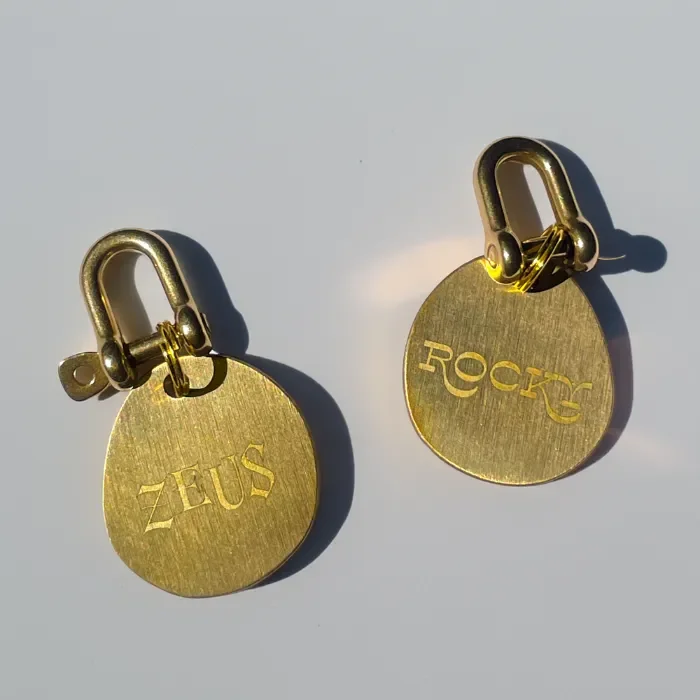 Engraved Brass Pet Name Tags