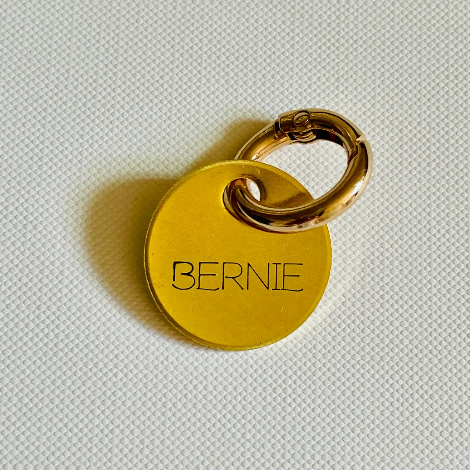 Engraved brass  and stainless steel pet ID Name tag