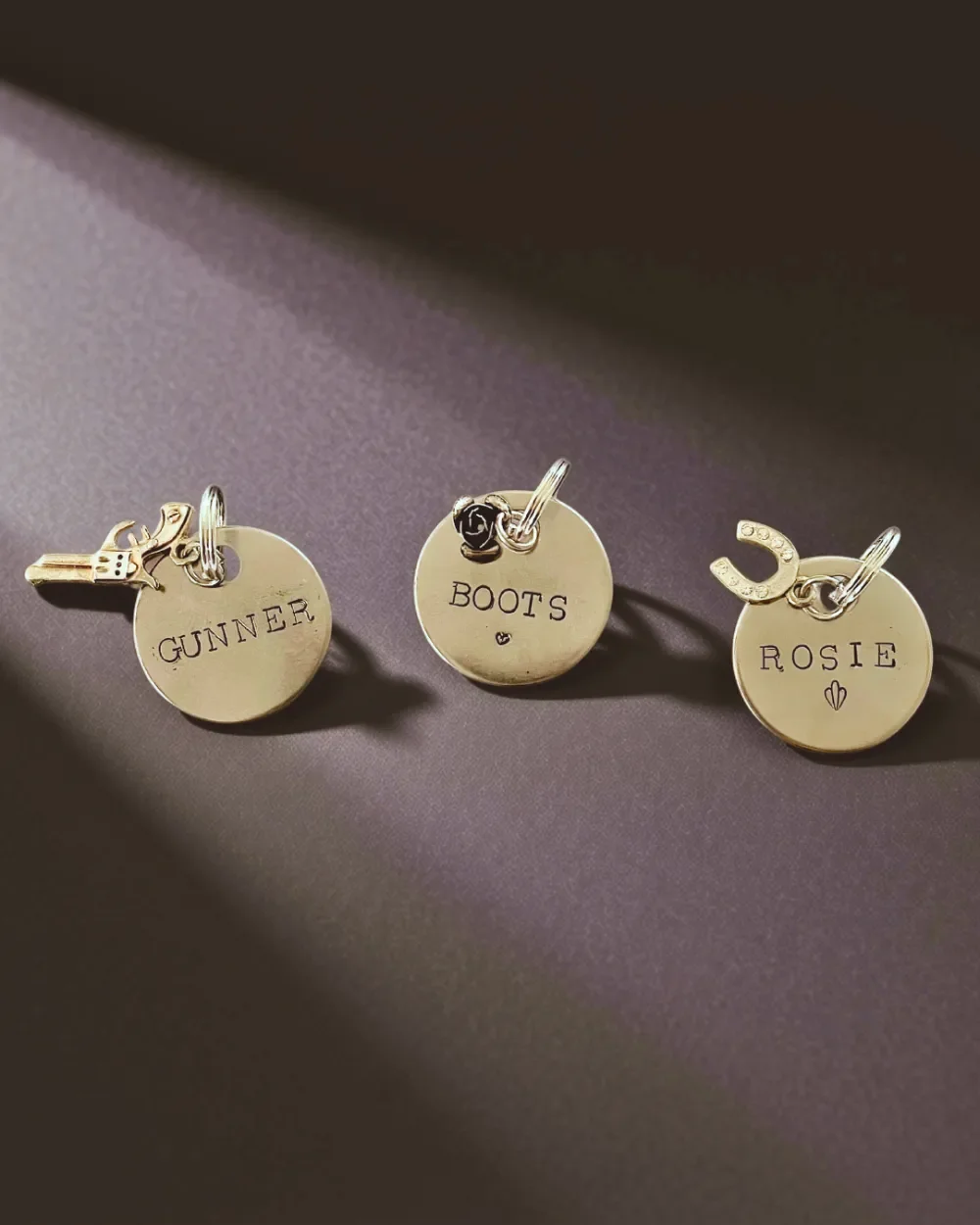 Personalized Stainless Steel Pet Name ID Tags