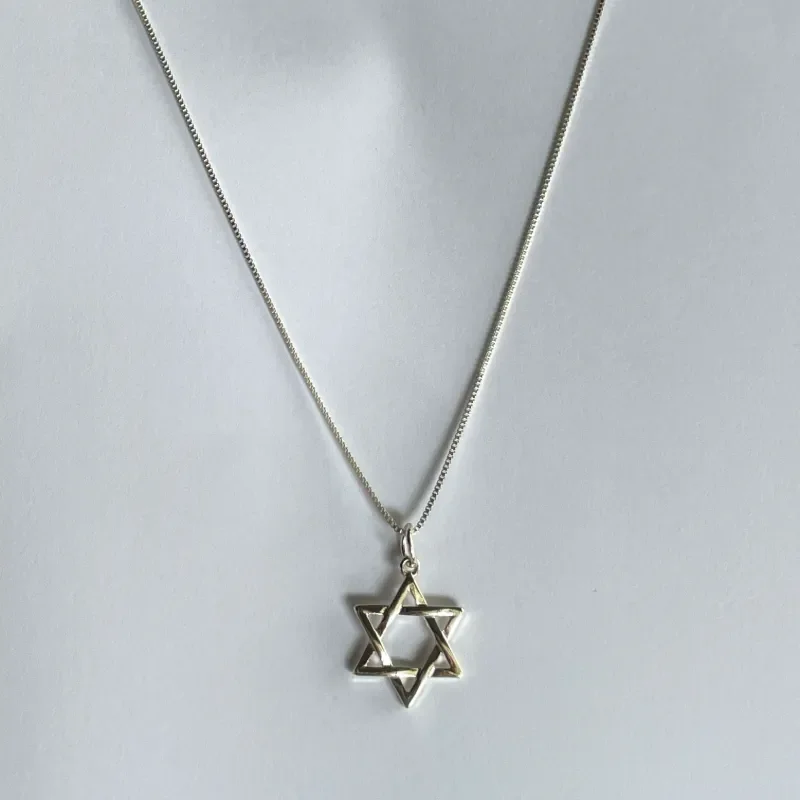 Silver Star of David Necklace