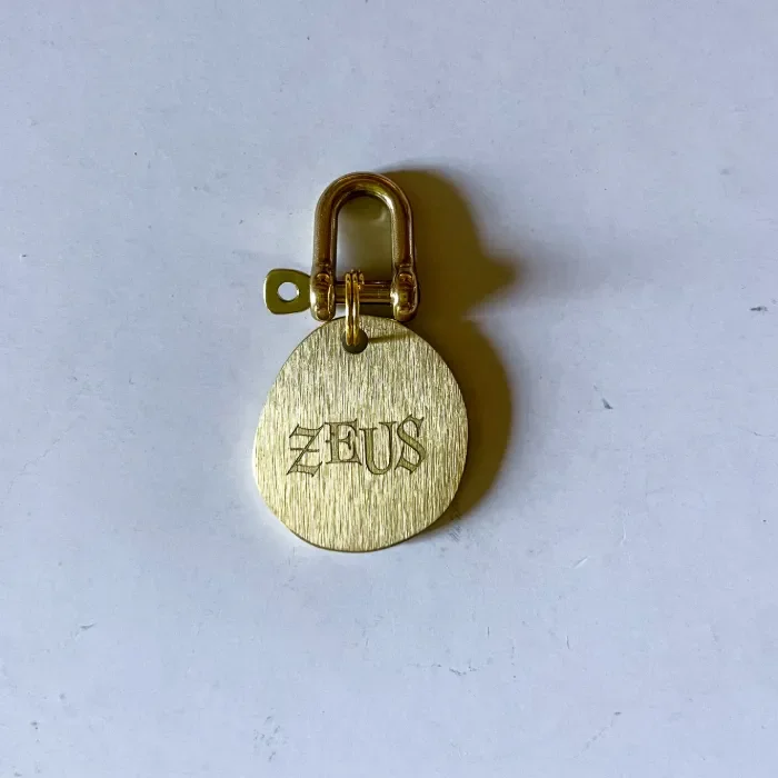 Engraved brass name tag for cats and dogs