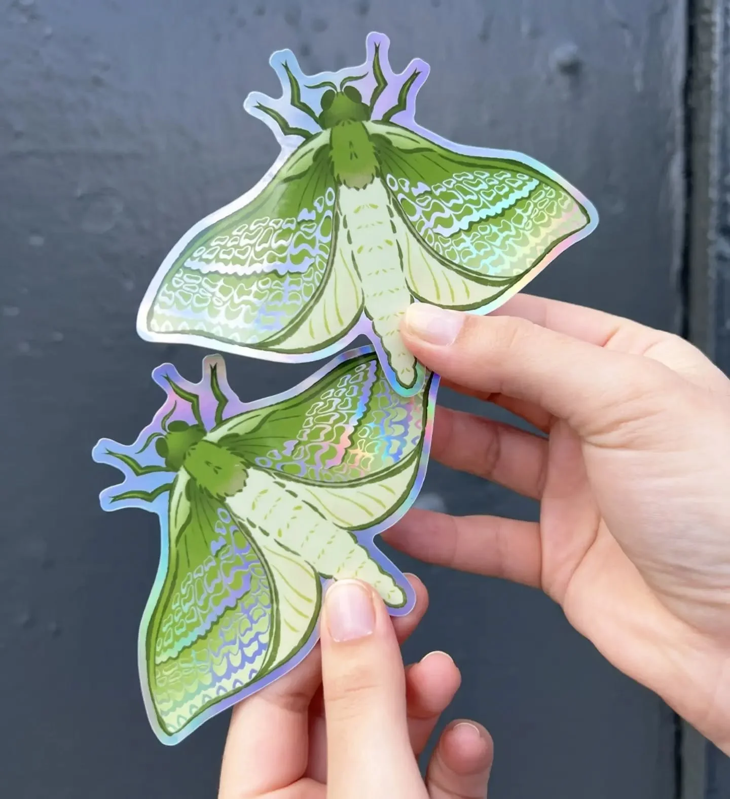 If you missed out on the bug rally I will have my leftover prize stickers of the Puriri Moth stickers available on my table!

Thank you everyone who joined the bug rally! It went by so quickly!! So much fun!

And thank you @layahimalaya for hosting s
