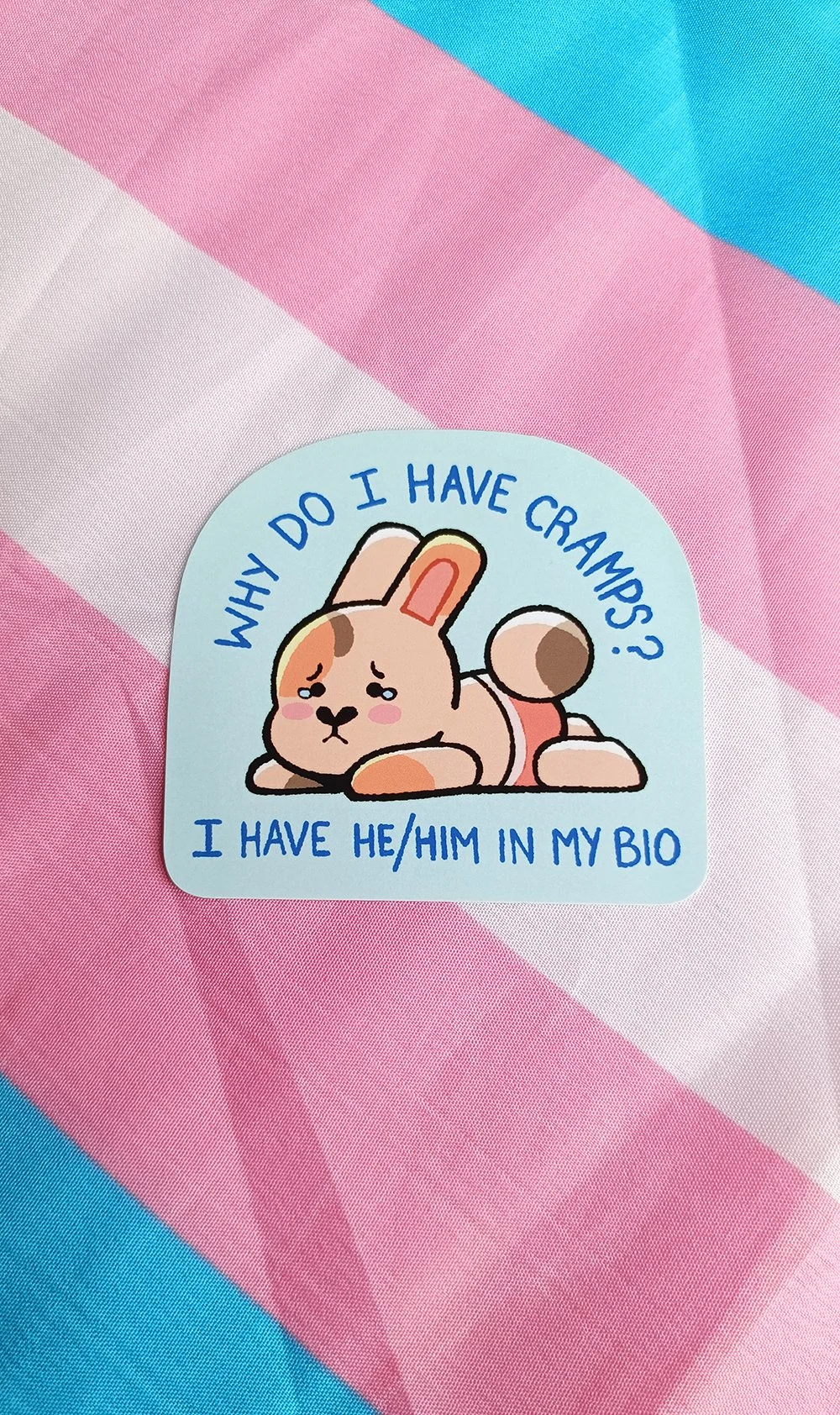 HeHim Bio_3_UPLOAD.jpg