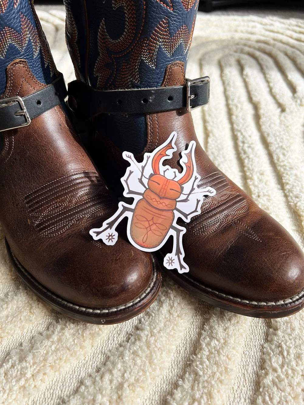 Bugs_BootBeetle_2_UPLOAD.jpg