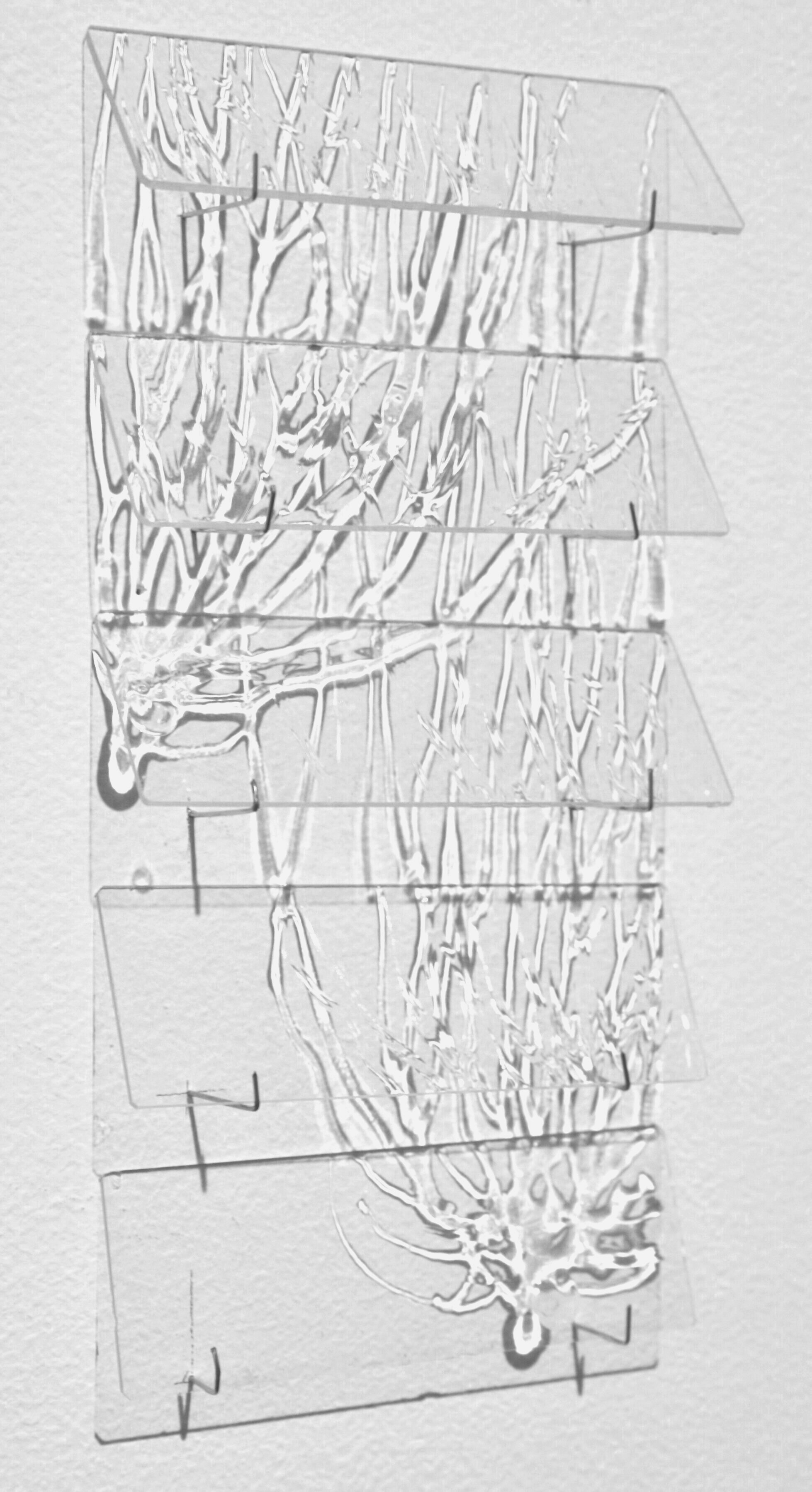 McAlister_TemporalVision_BasketCells (2).JPG