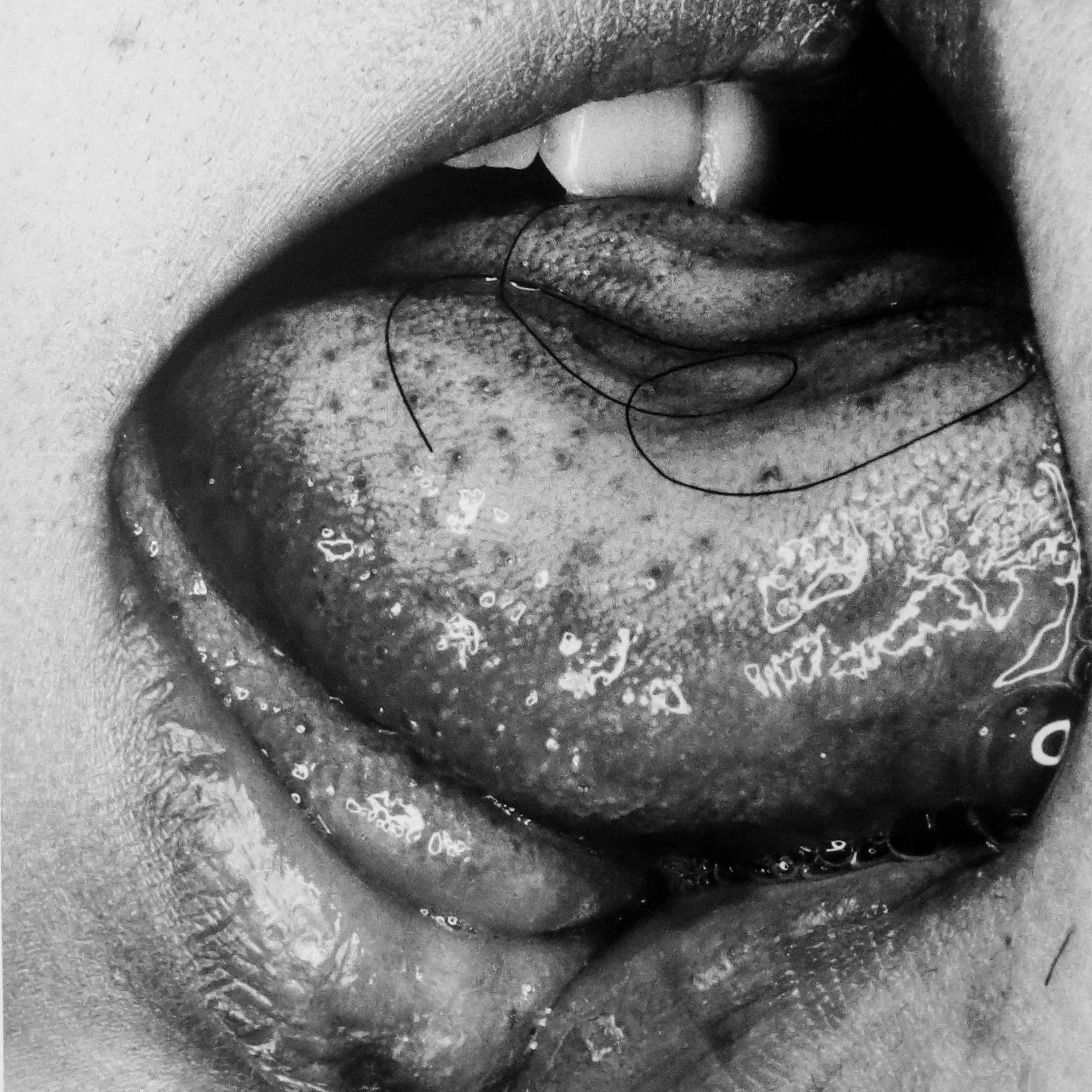 A Phantasy Guide to Japanese Photo Books