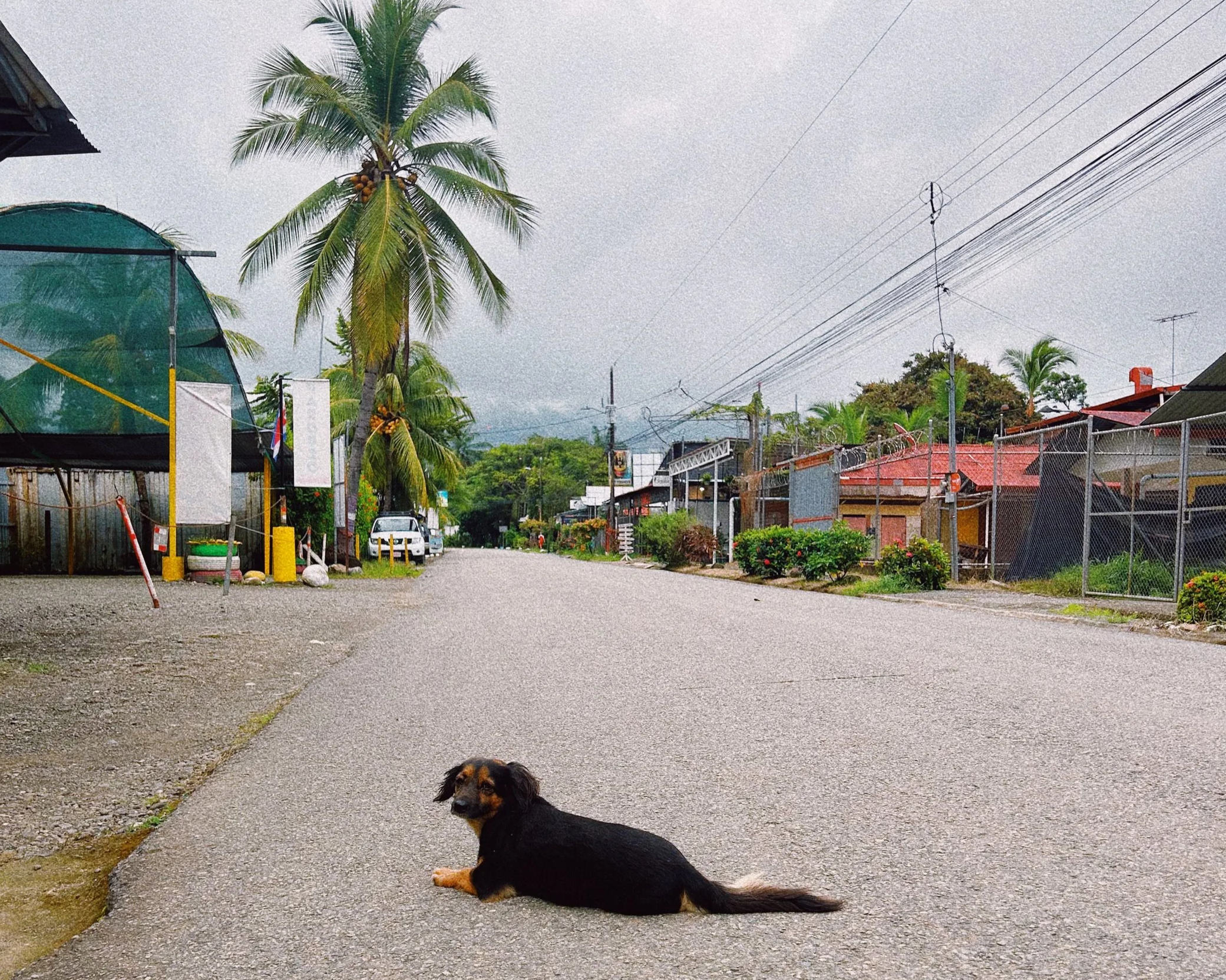 IMG_1124_VSCO.png