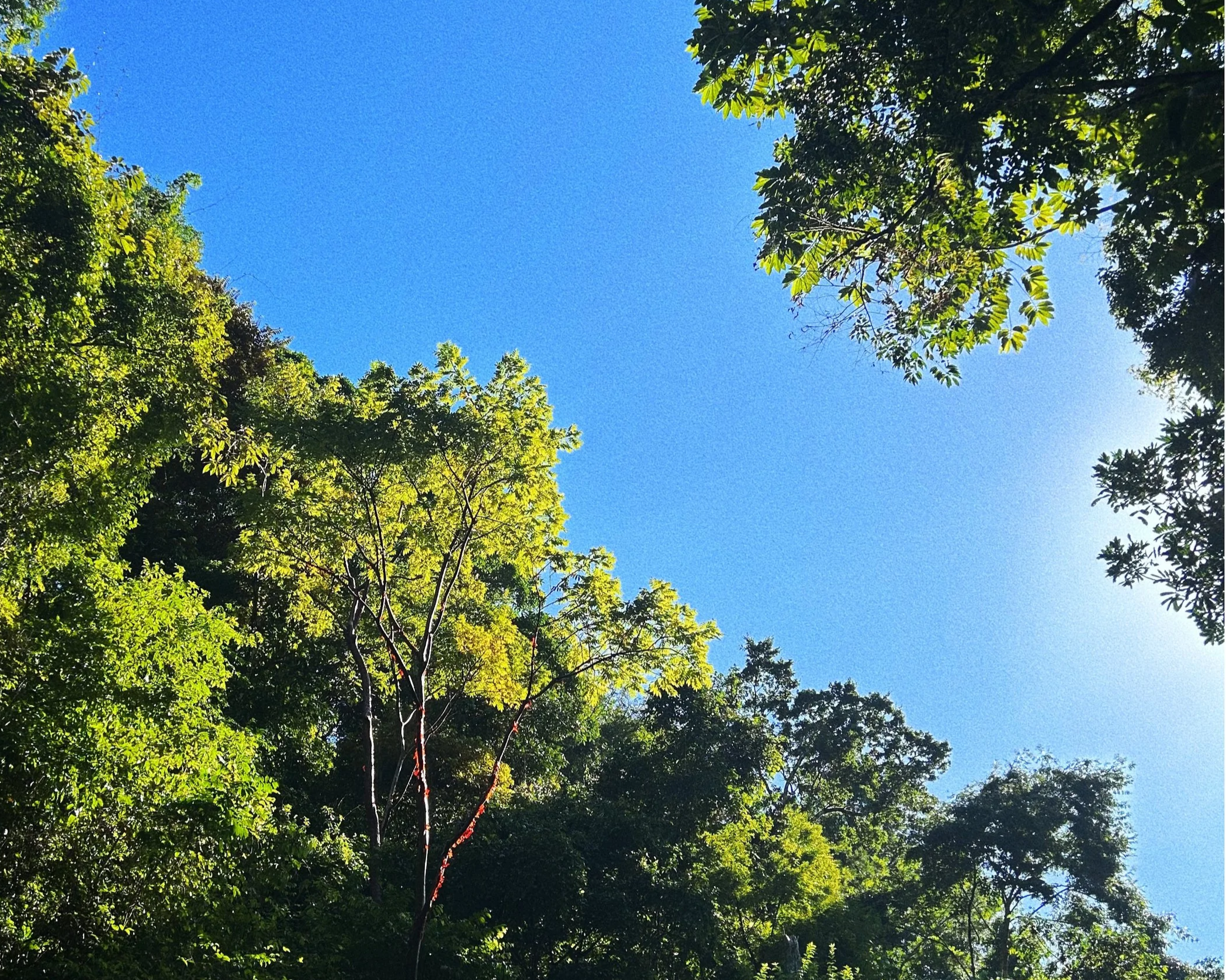 IMG_3289_VSCO.png