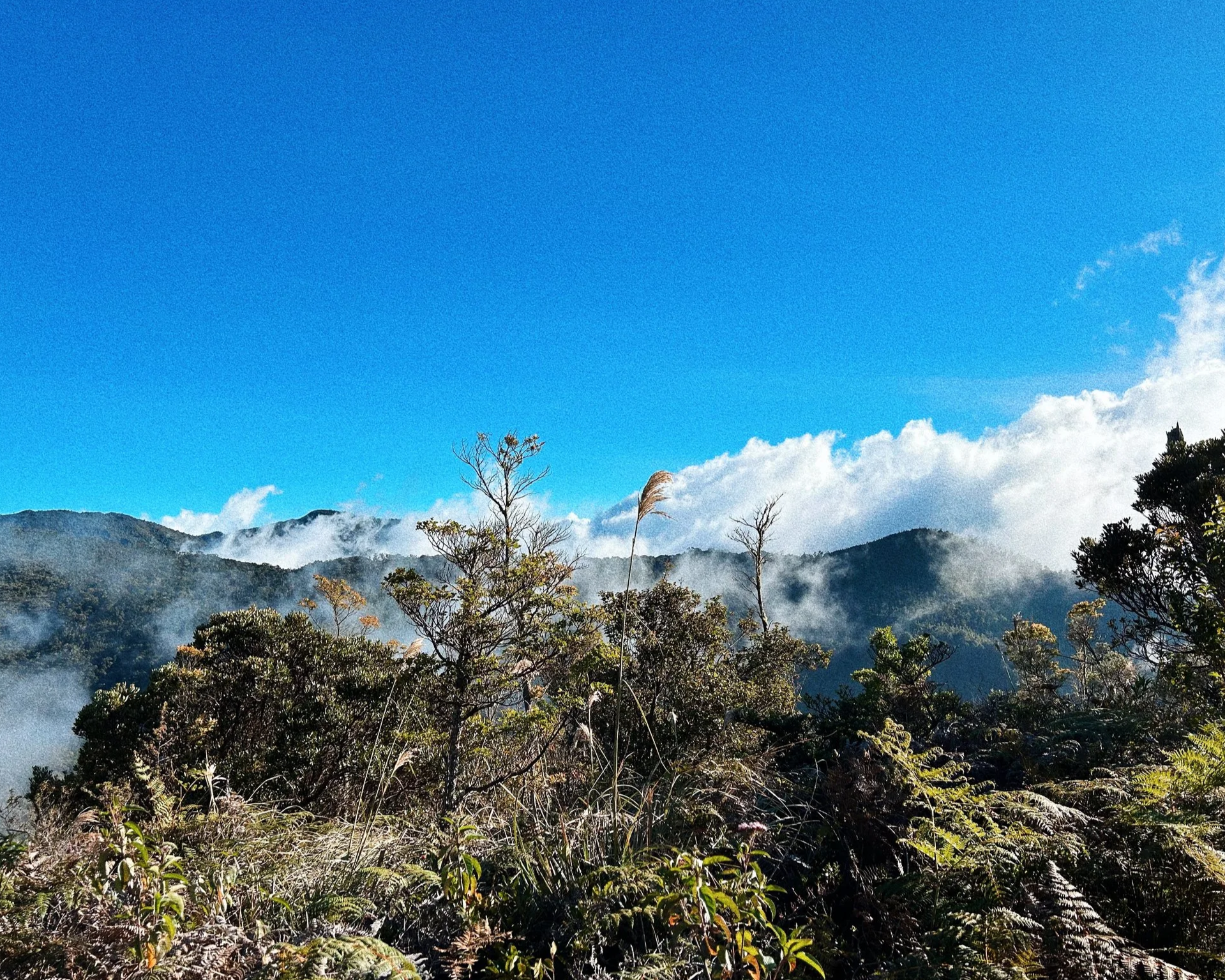 IMG_4092_VSCO.png