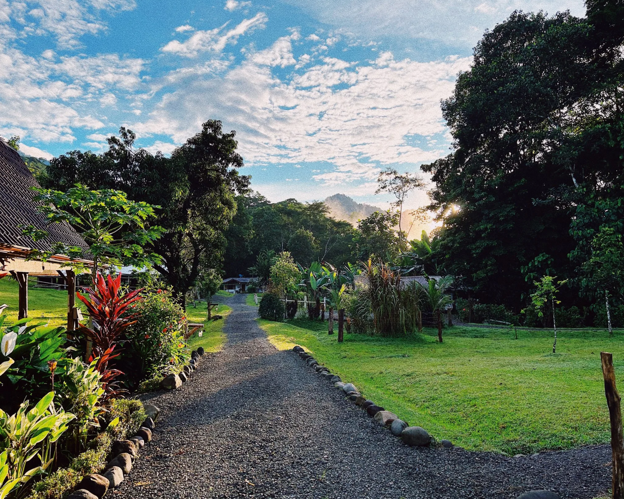 IMG_9592_VSCO.png
