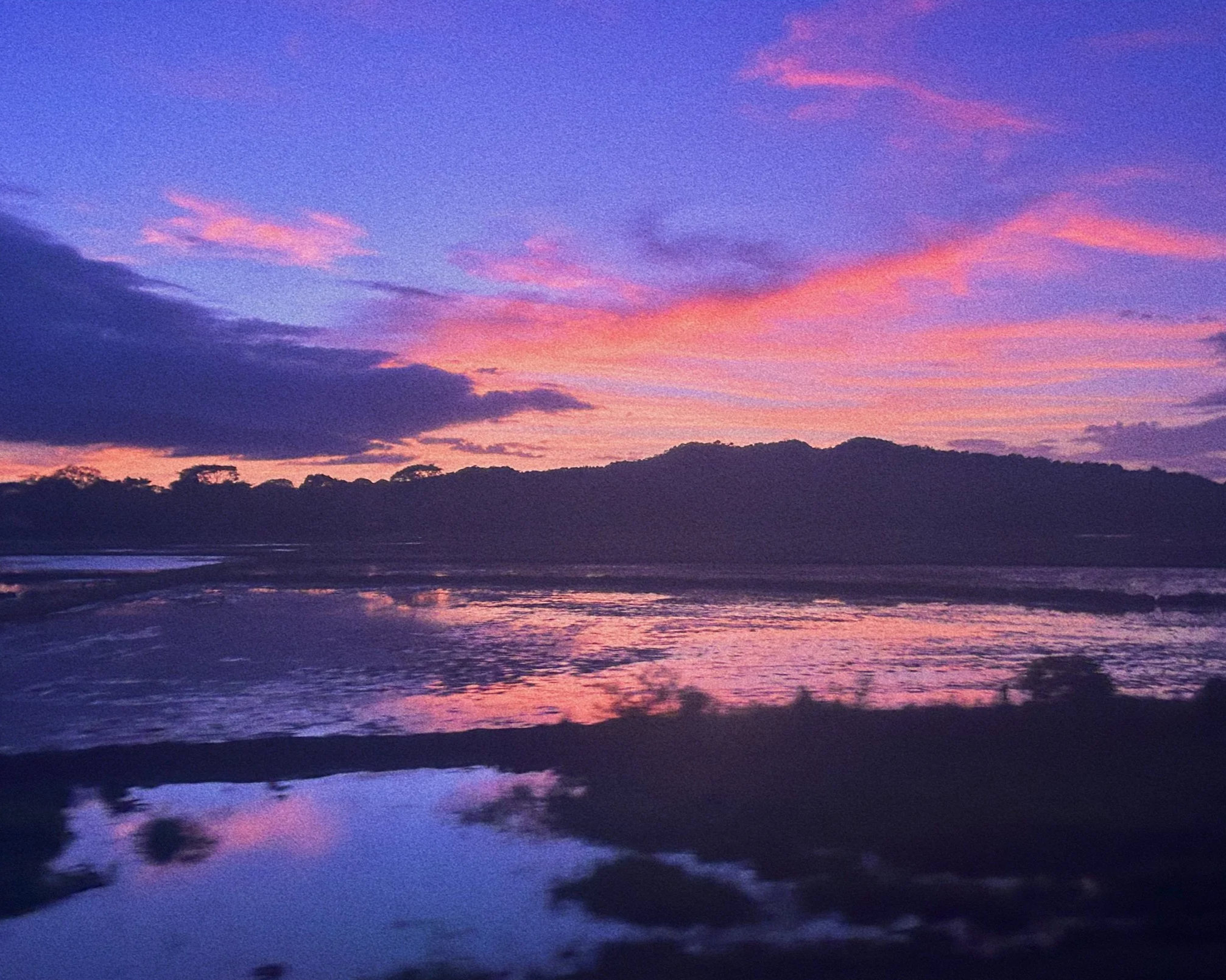IMG_4189_VSCO.png
