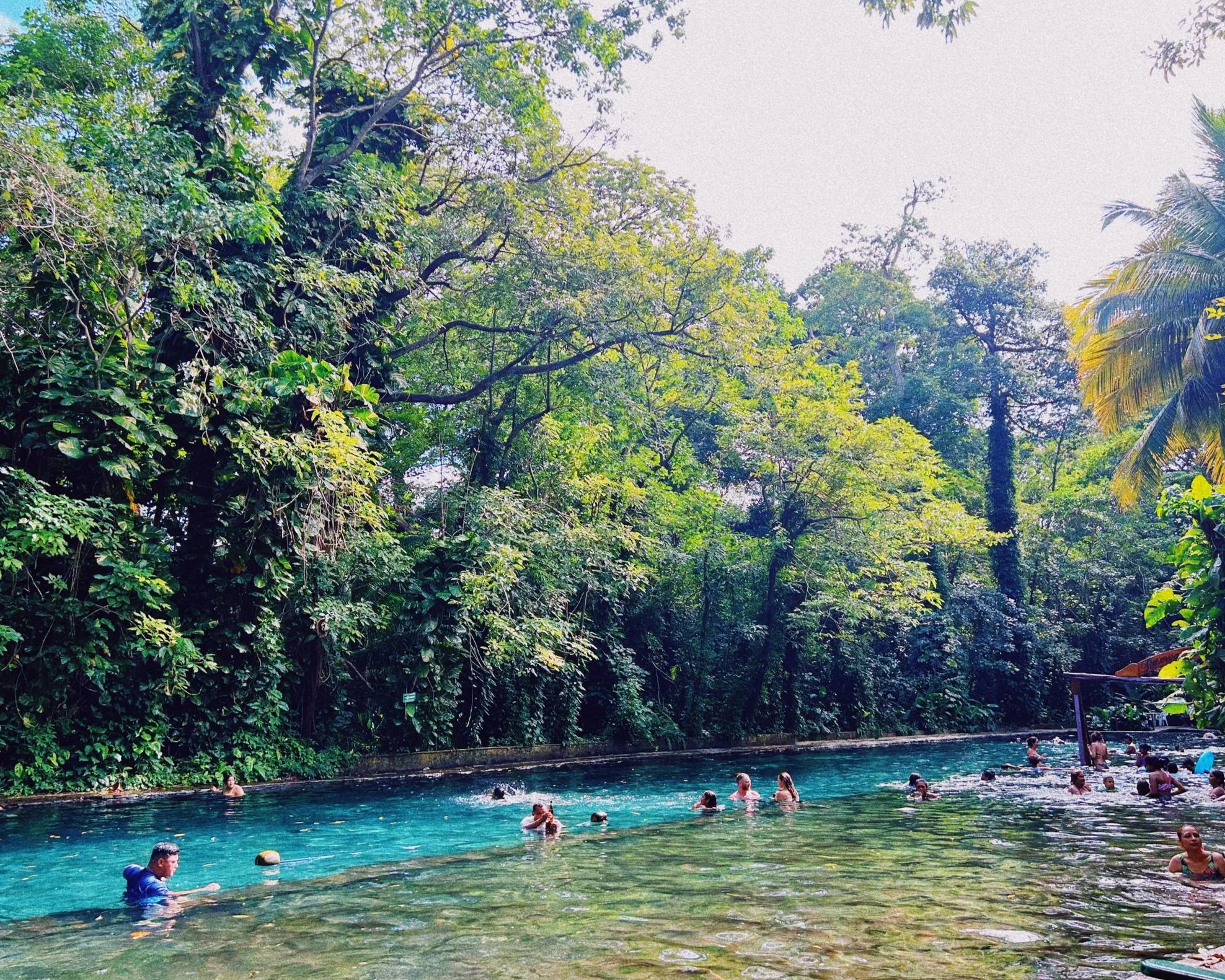 IMG_4341_VSCO.png