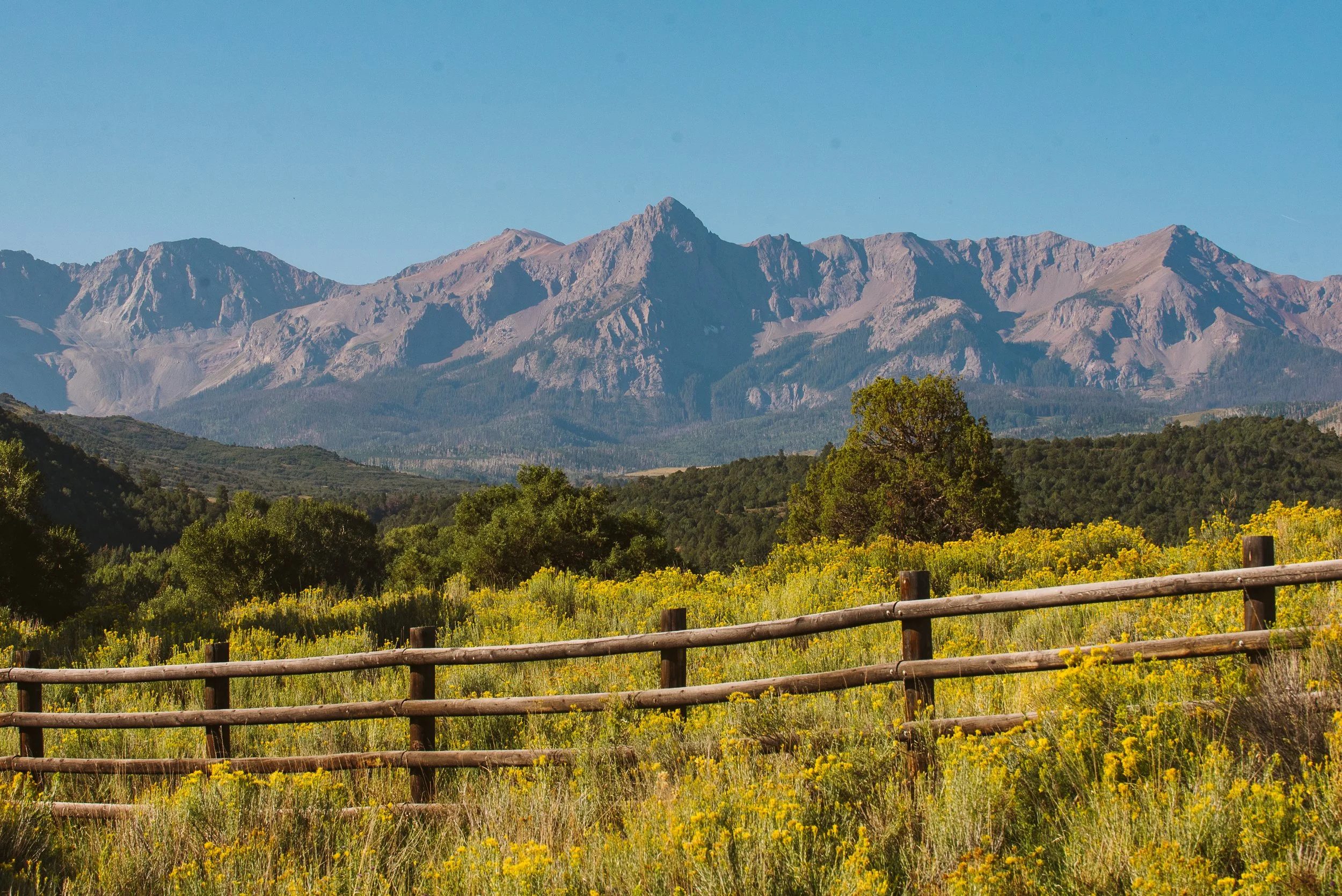 shanstrongphotography-114 (1).jpg