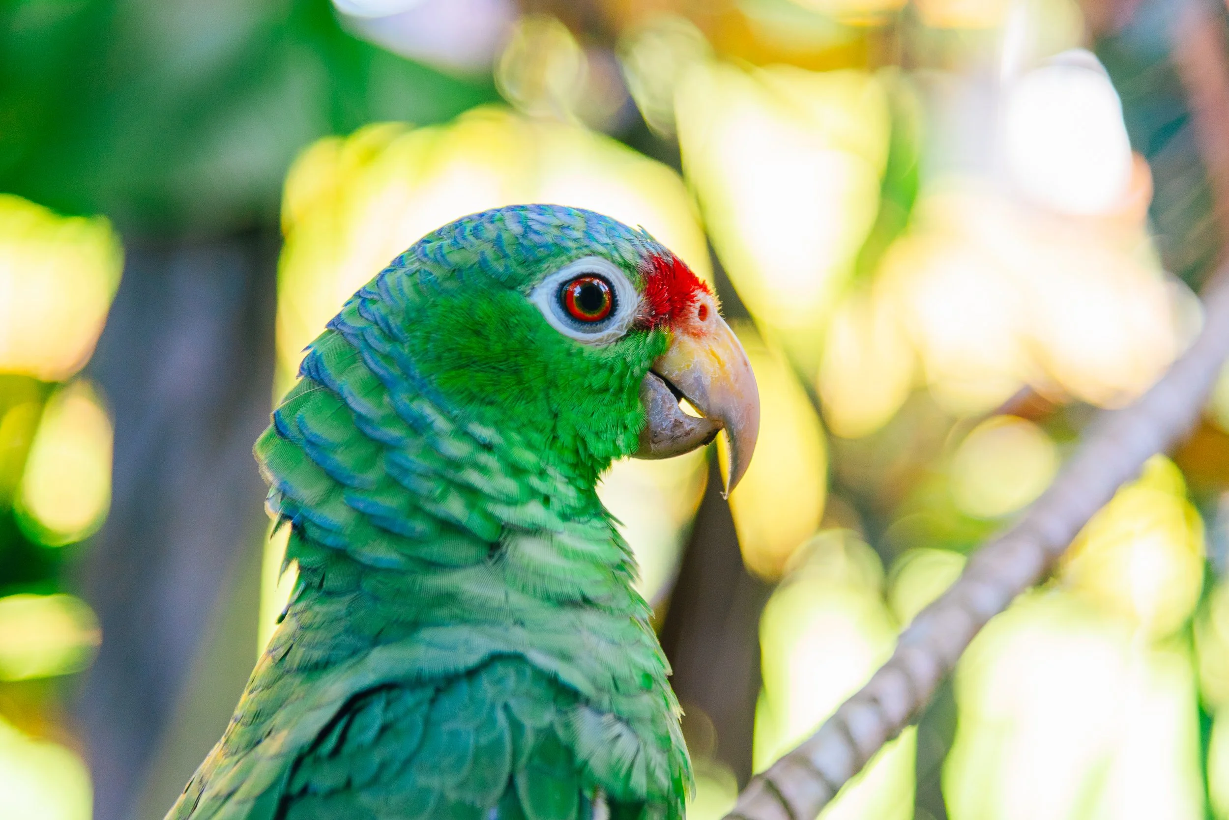 shanstrongphotography-2 (2).jpg