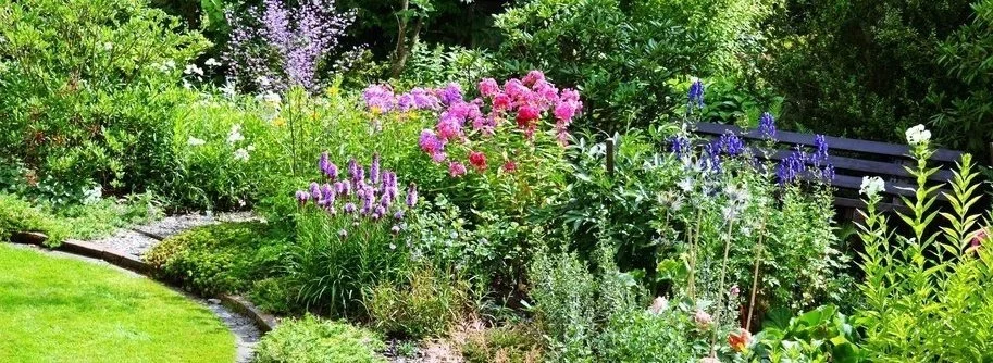 Perennial-garden.jpg