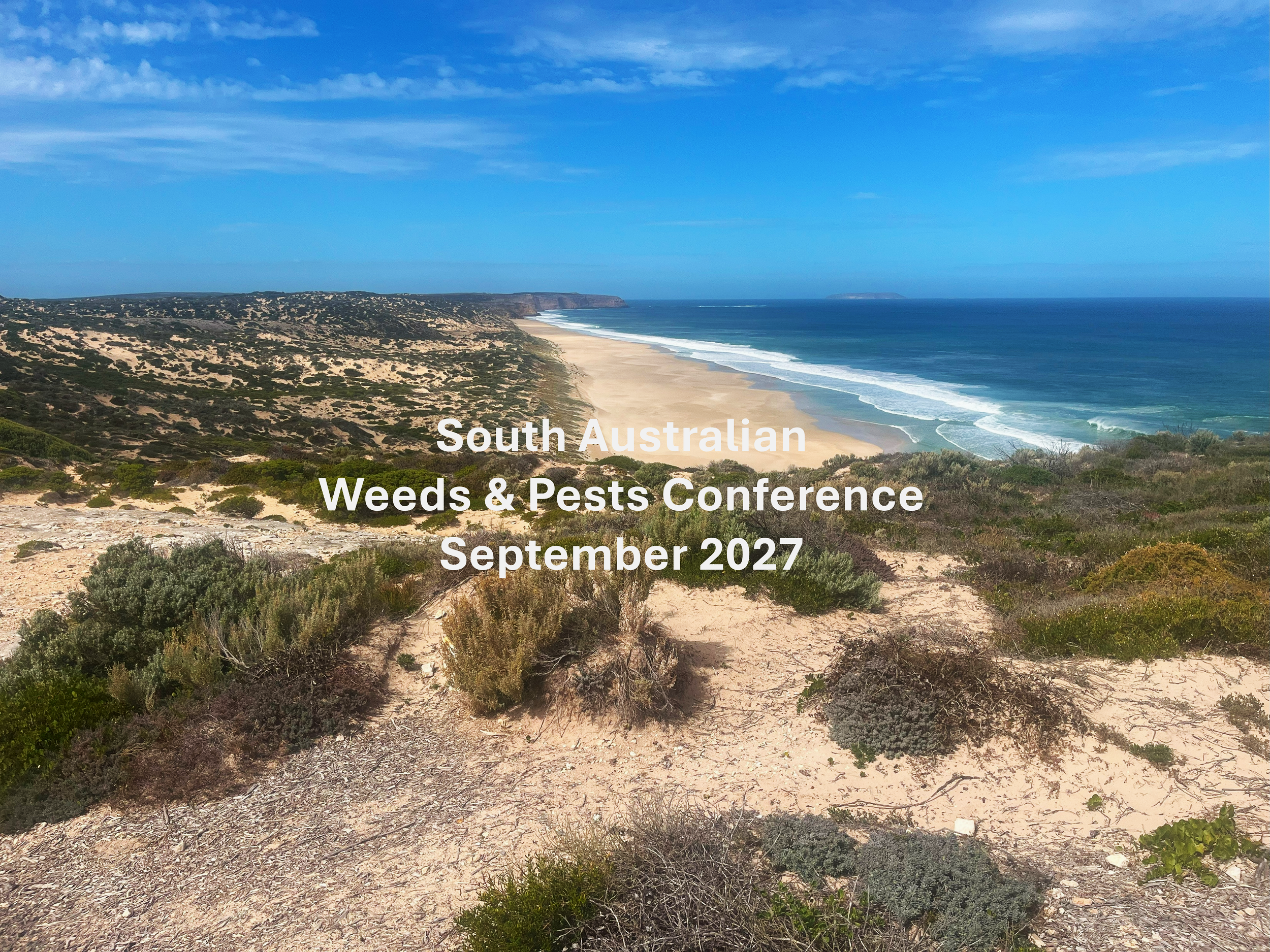 2027+weeds+conf+powerpoint+image.png
