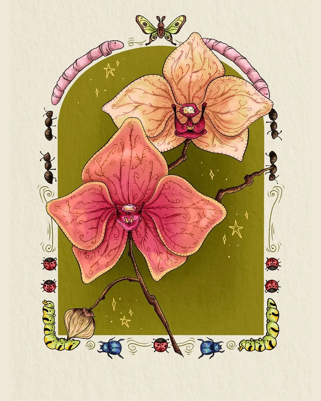I&rsquo;m kinda late buuut I&rsquo;m joining #mosstober25 !! Here are some silly orchids for day 1🐛💐 ~~~~~~~~~~~~~~~~~~~~~~~~ #art #illustration #ilustraci&oacute;n #artistachilena