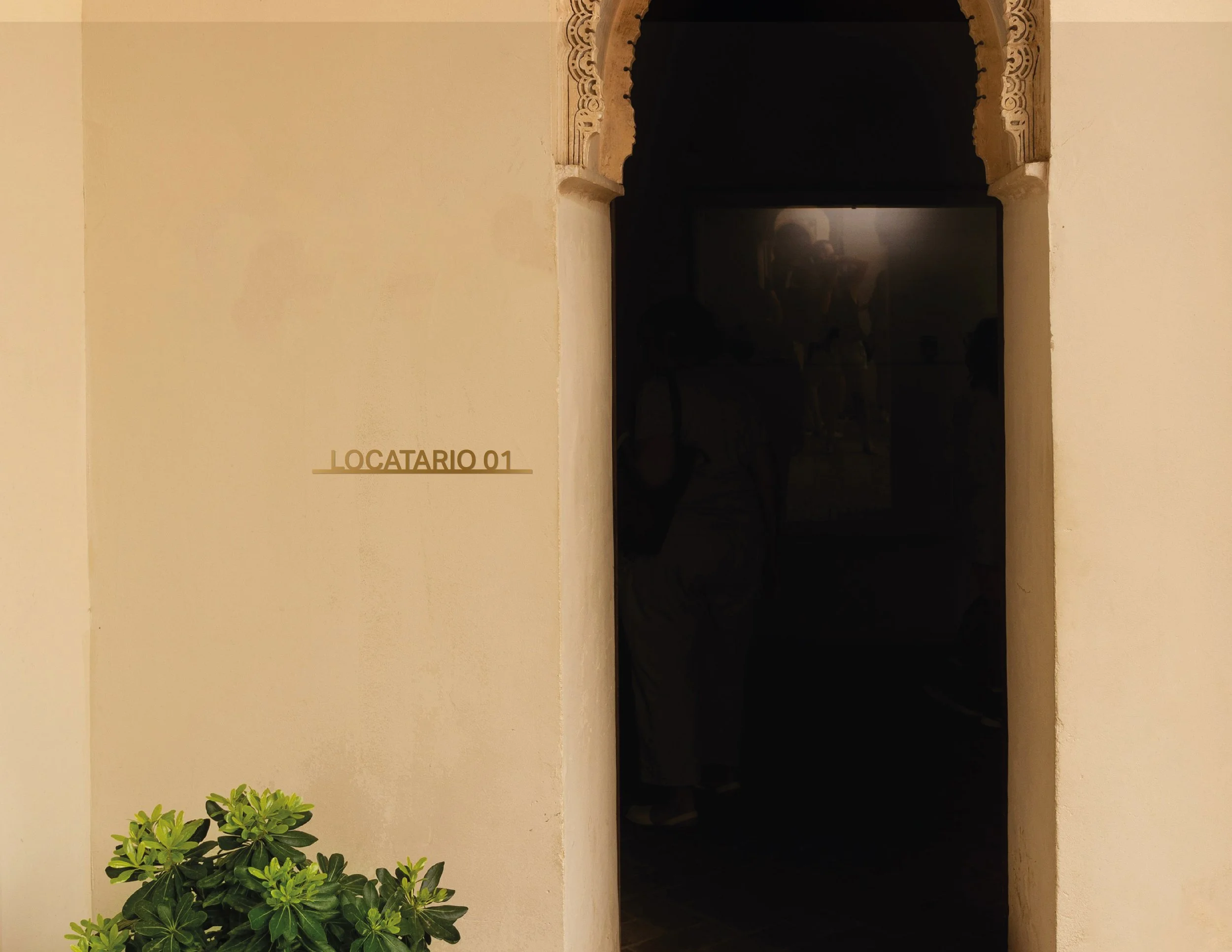 CORREO 25_Mesa de trabajo 1 copia.jpg