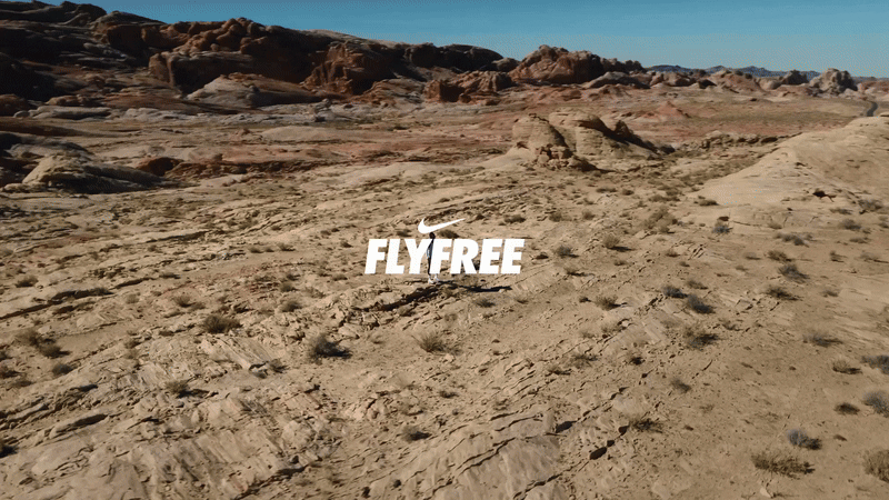 NIKE VISION  ||  FLYFREE