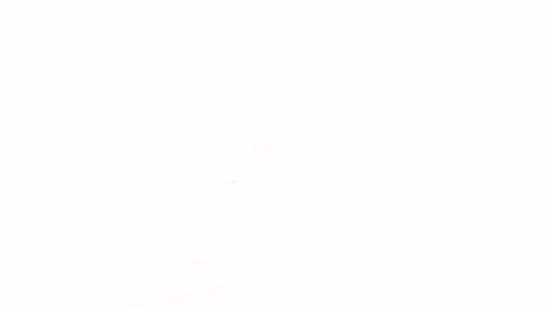 ON RUNNING  ||  DICK SPORTING GOODS