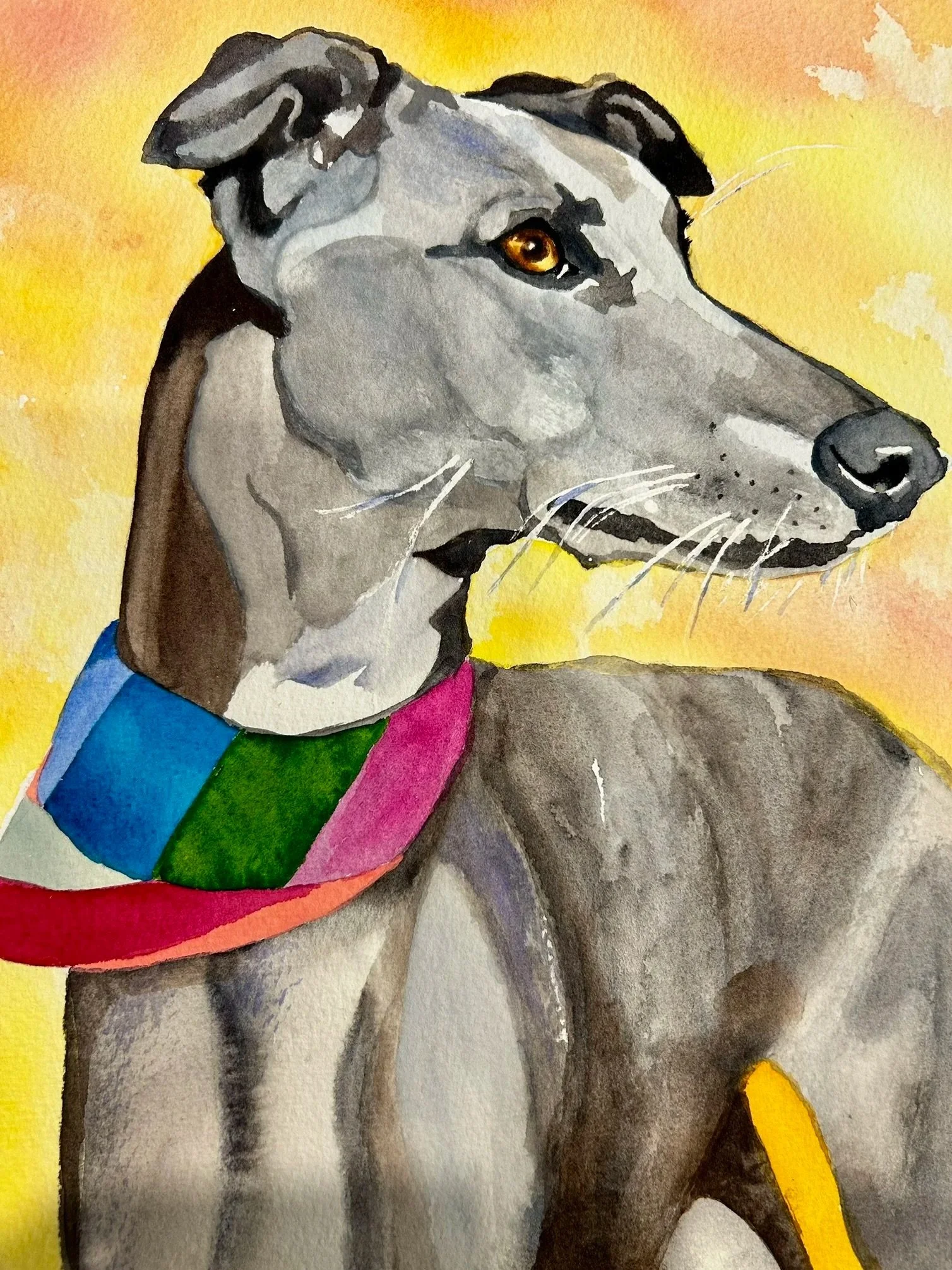 greyhound-coloured+background.jpg