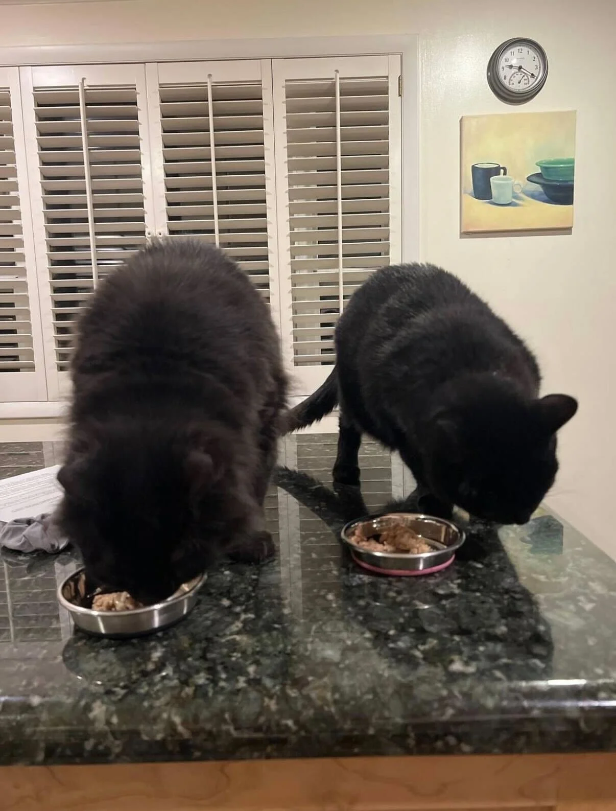 Two black cats eating from metal bowls on a kitchen countertop.