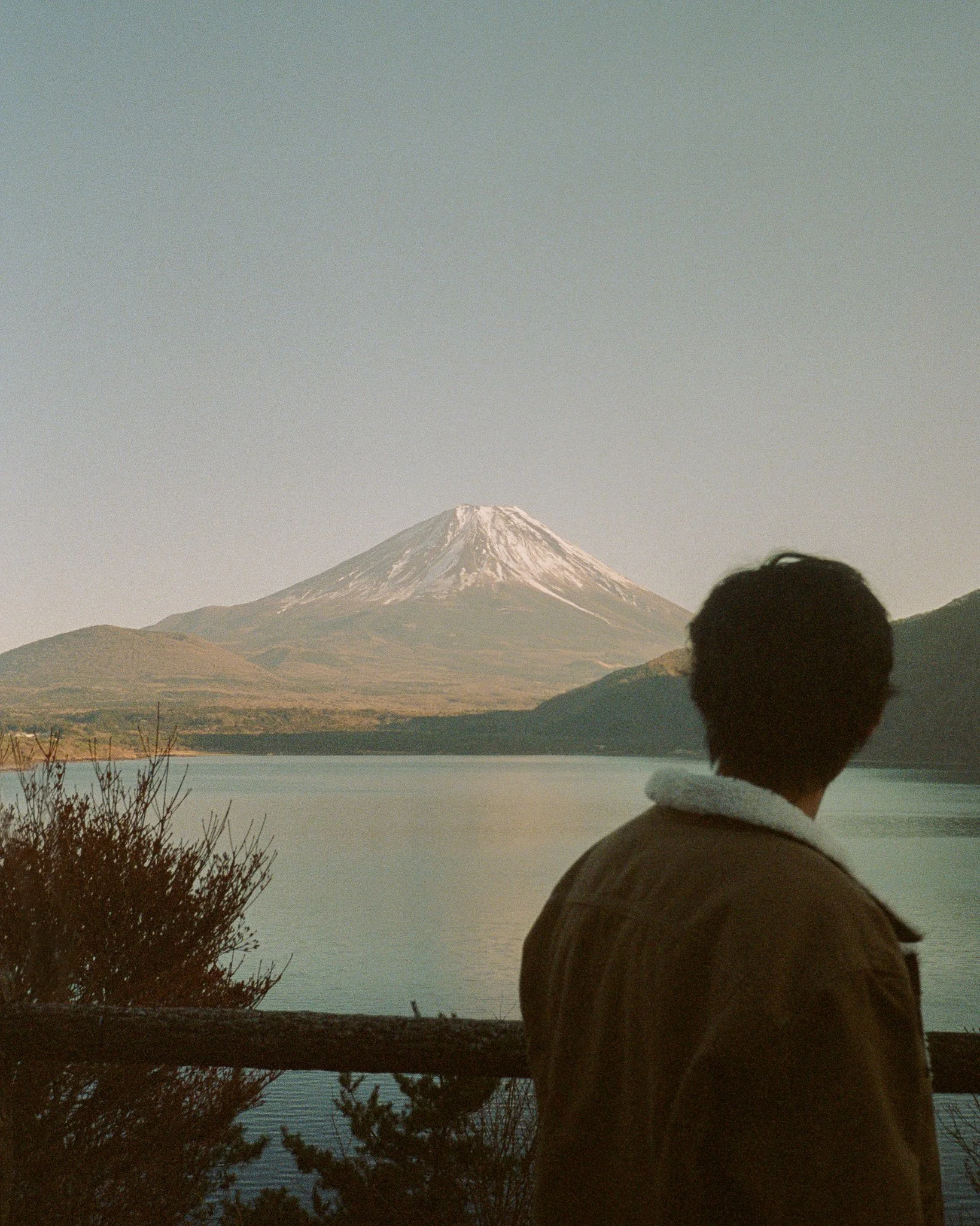 99910780-18361-2.jpg