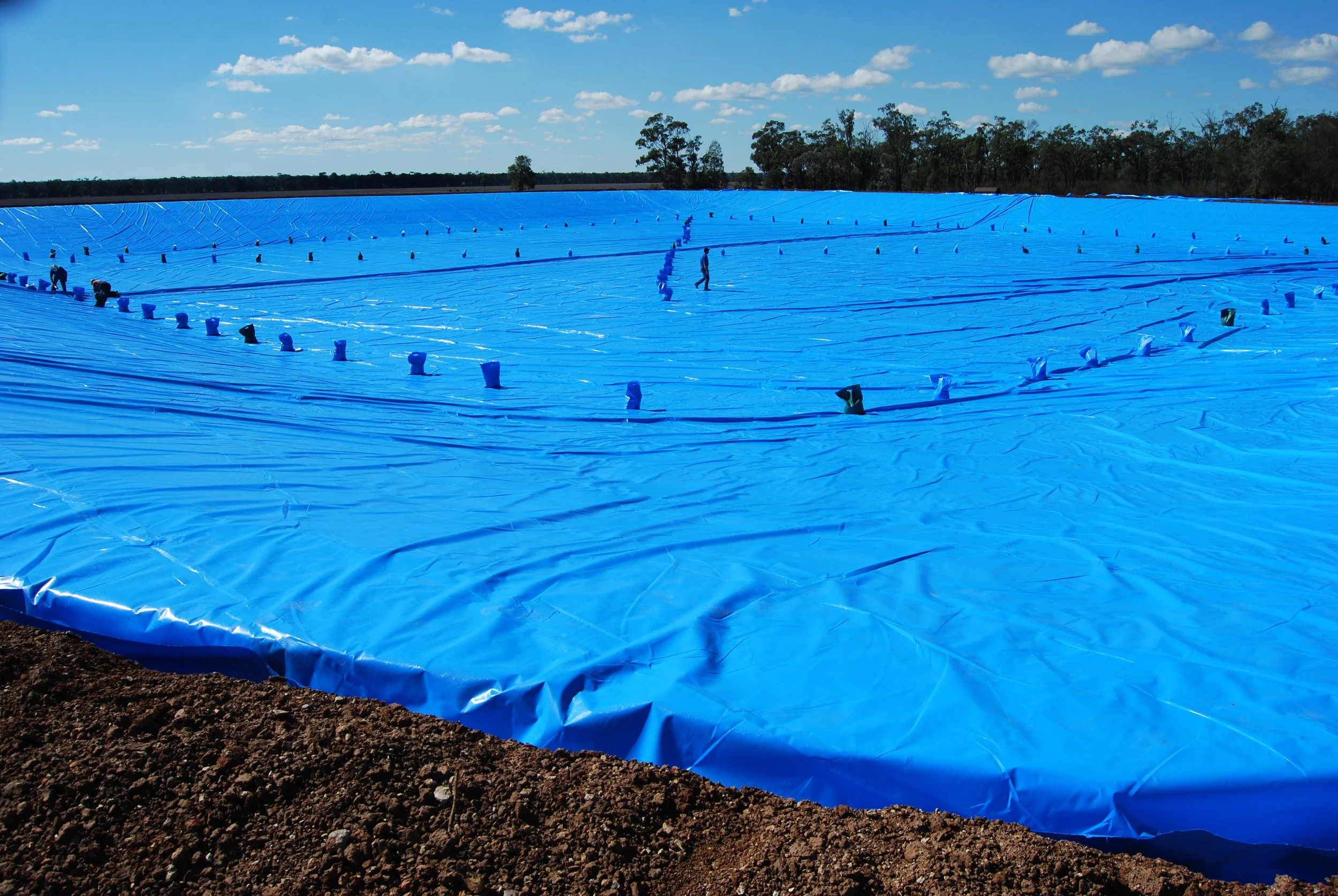 Toms Tarps_18.07.09_01.JPG