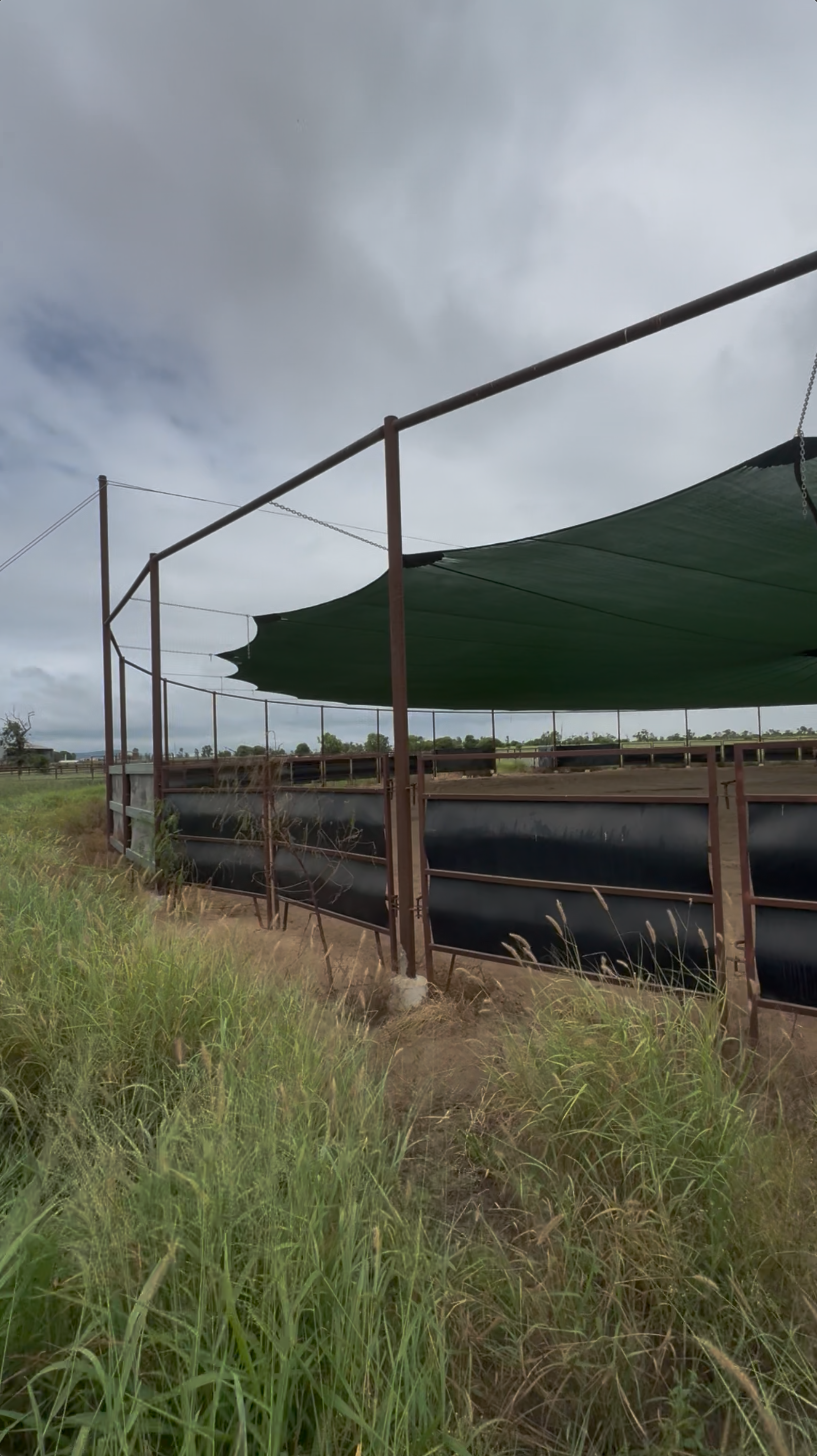 Engineering the Impossible: A 44m Clear-Span Shade Solution for Central QLD