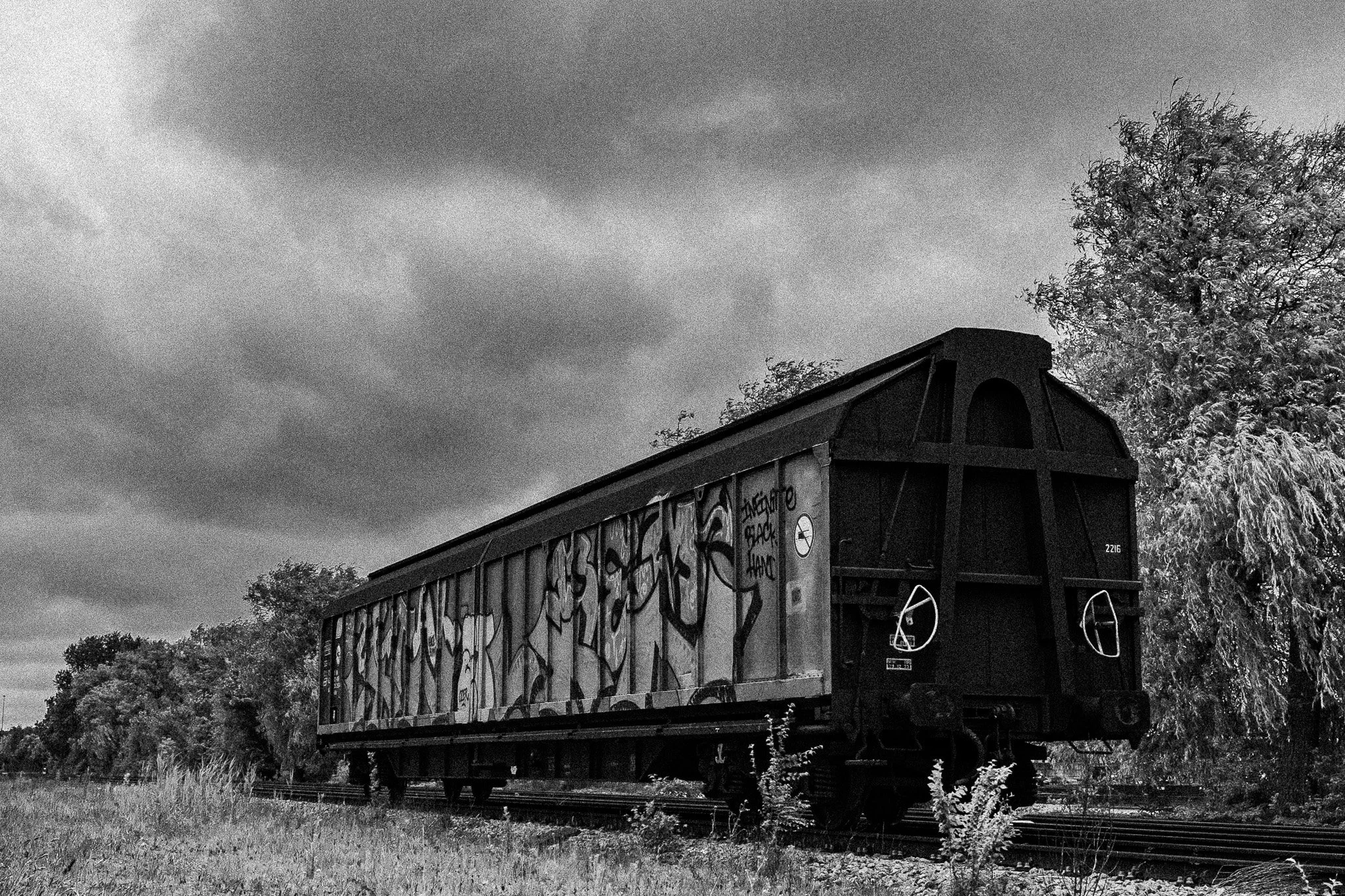 0Z5A9239.jpg