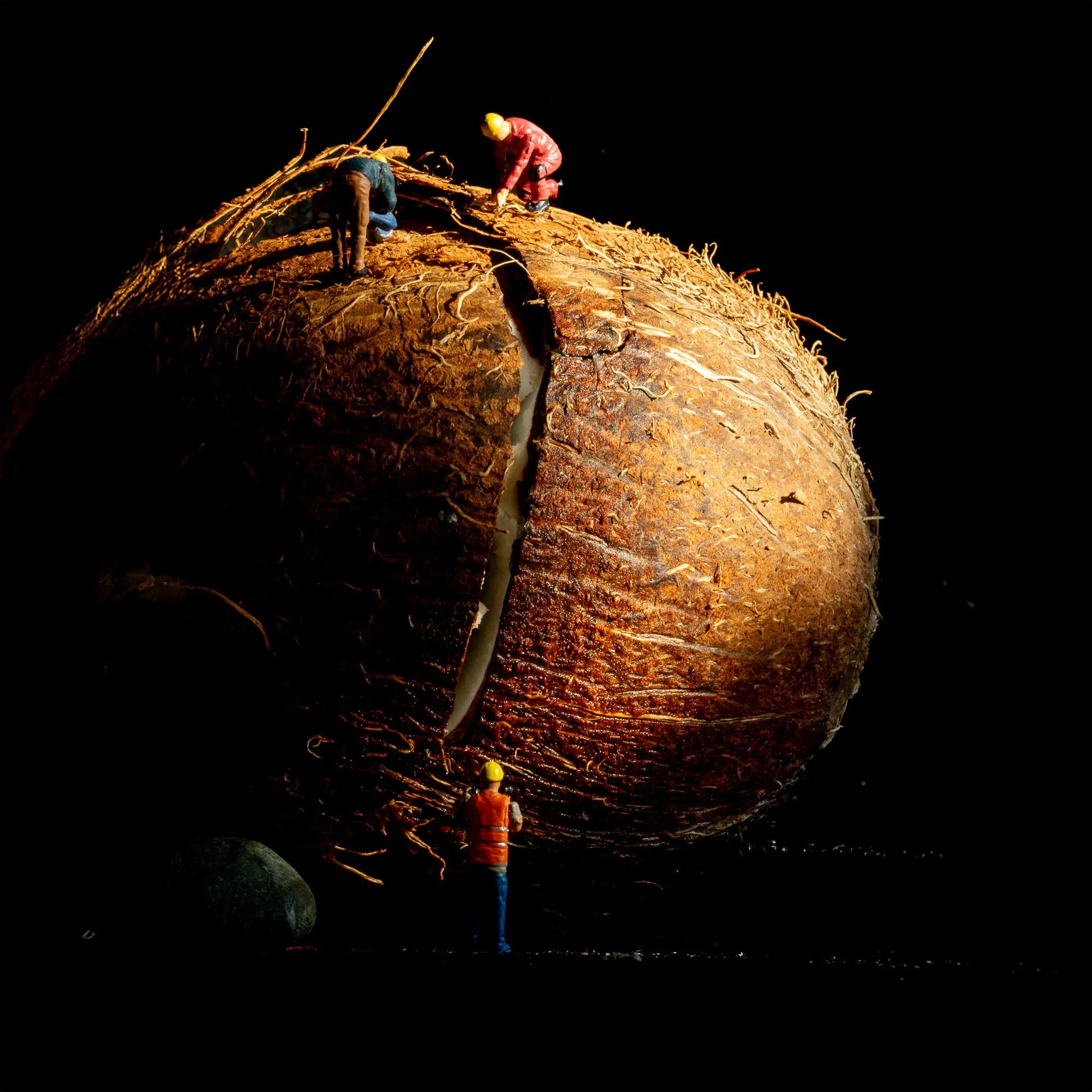 cocosnoot vierkant-2.jpg