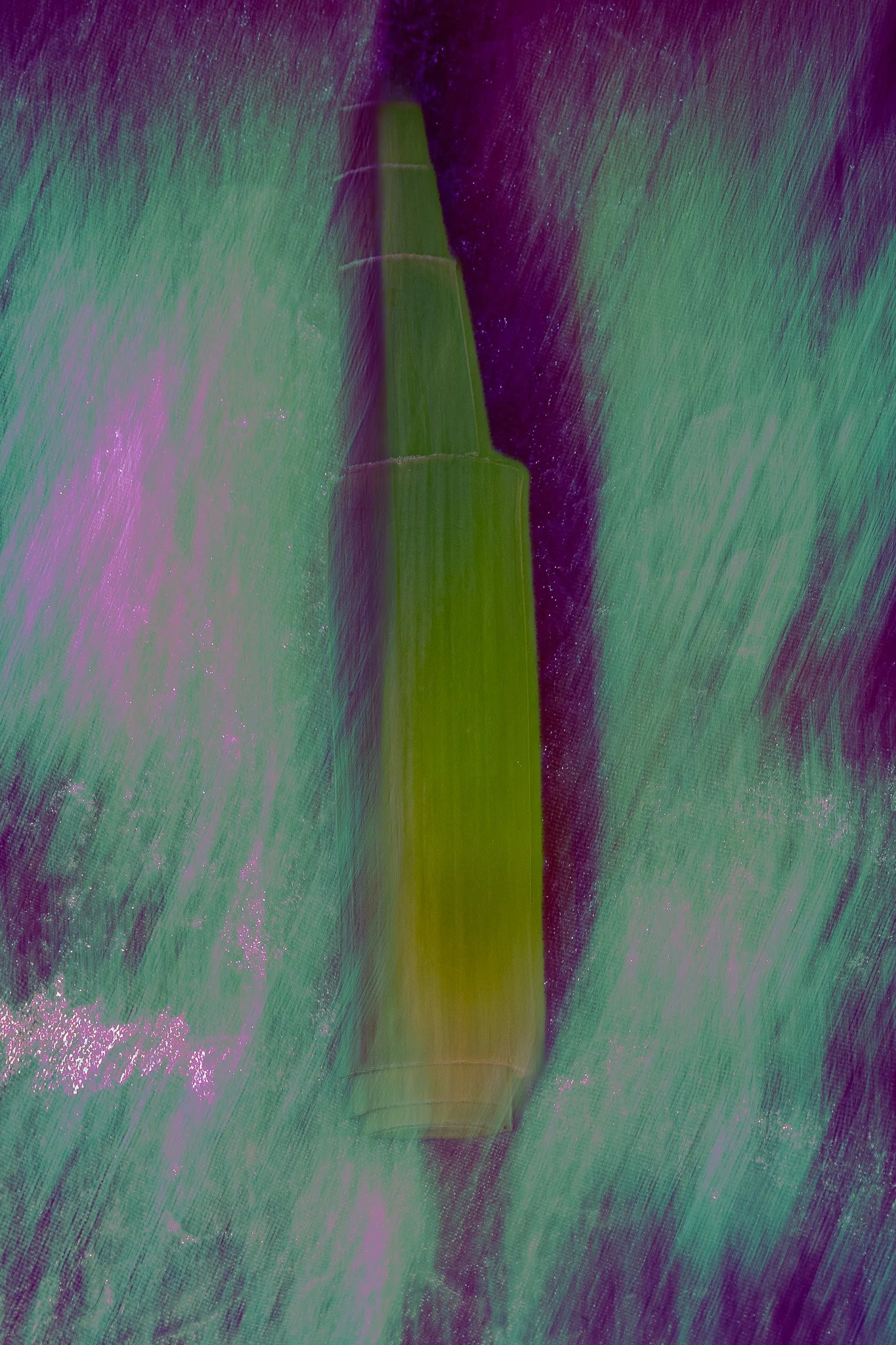 0Z5A8547.jpg