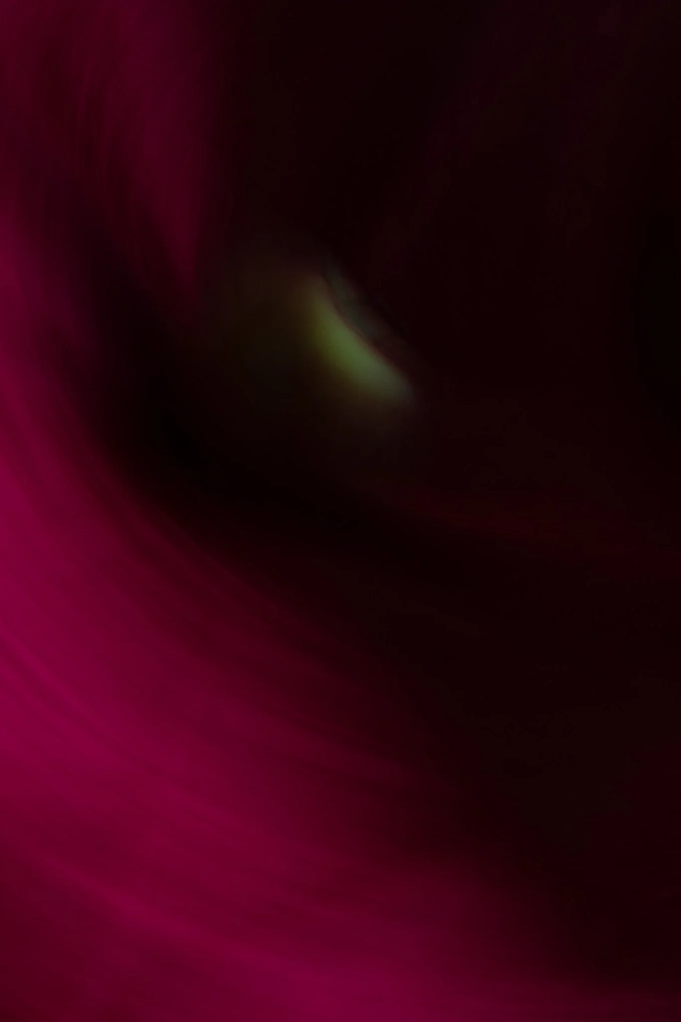 0Z5A8630.jpg