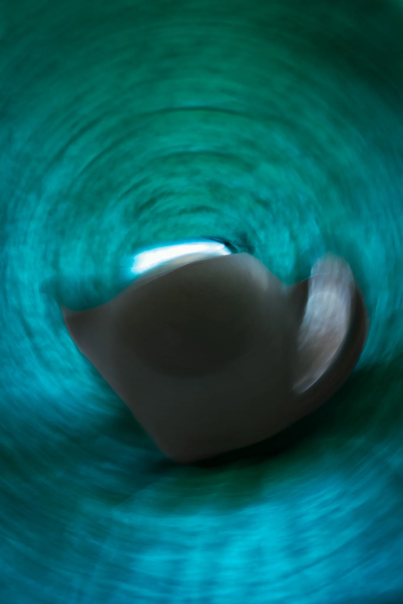 0Z5A8517.jpg