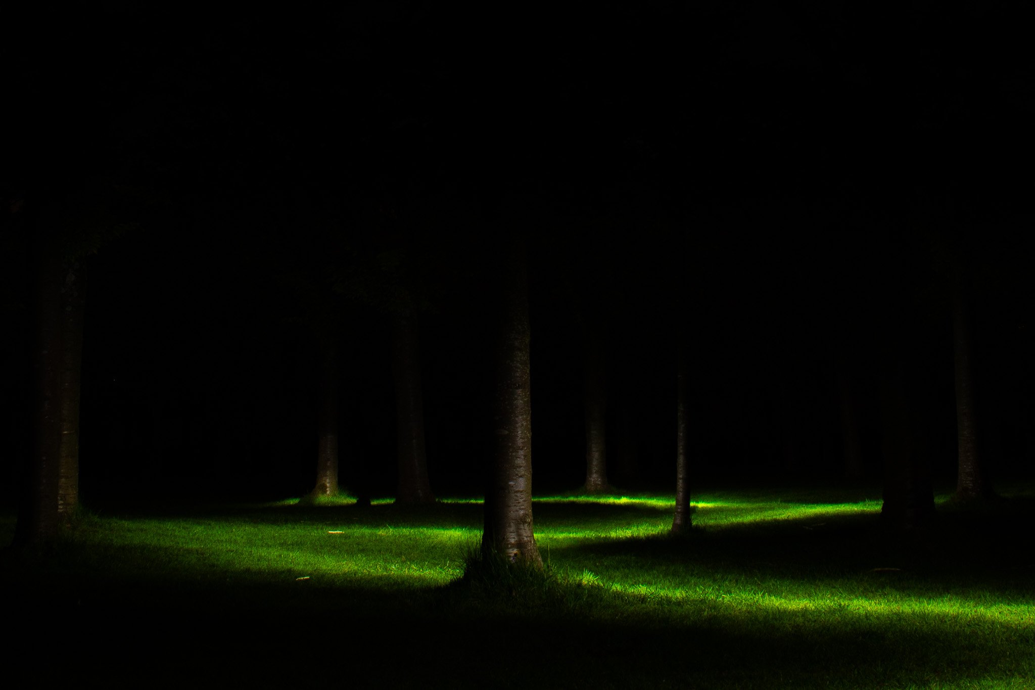 NIGHTTIME