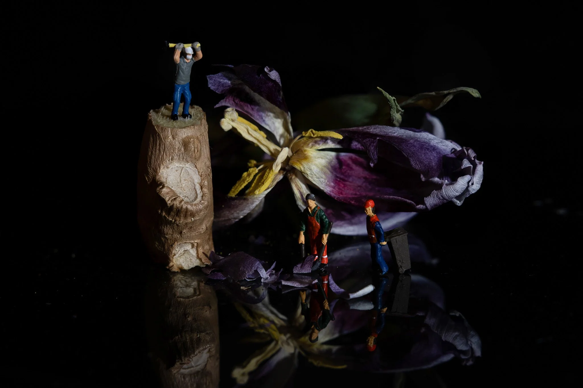 Naamloos-1 kopie.jpg