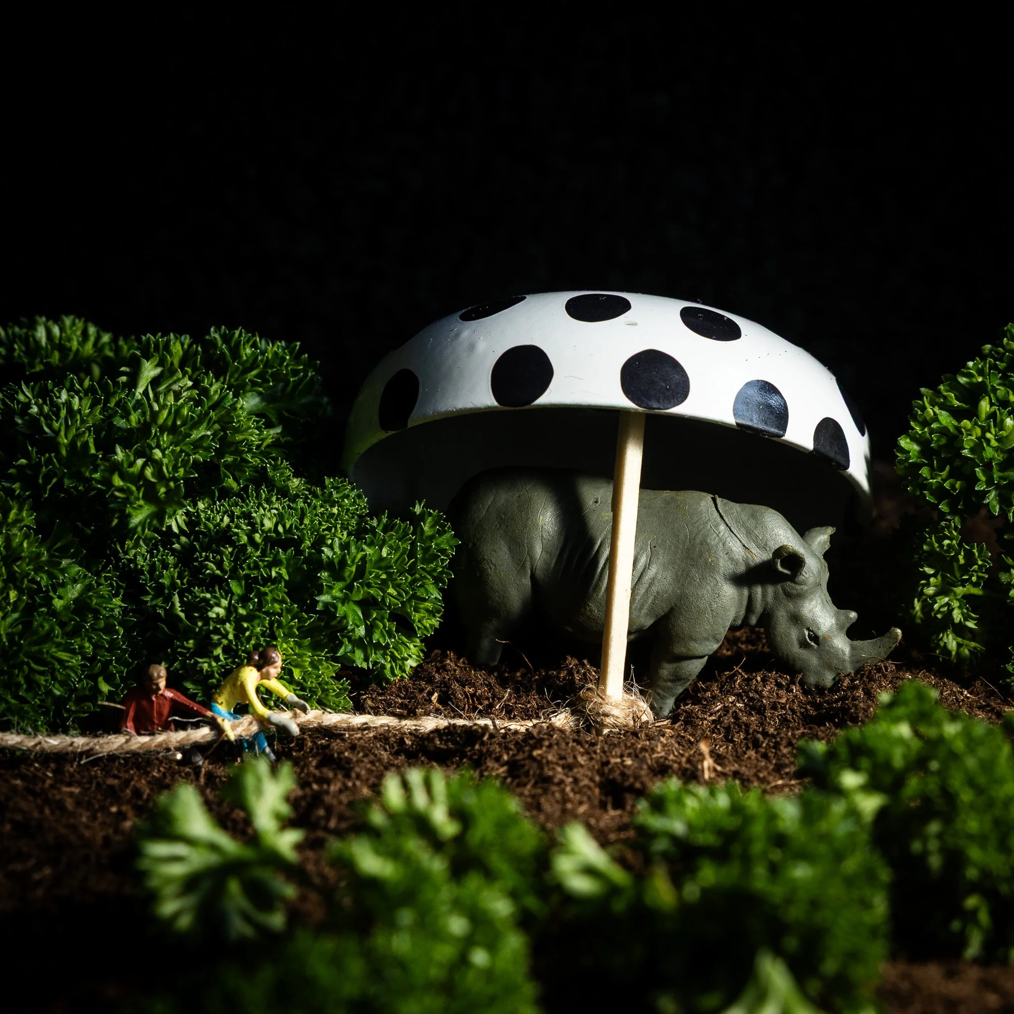 fietsbel & neushoorn.jpg