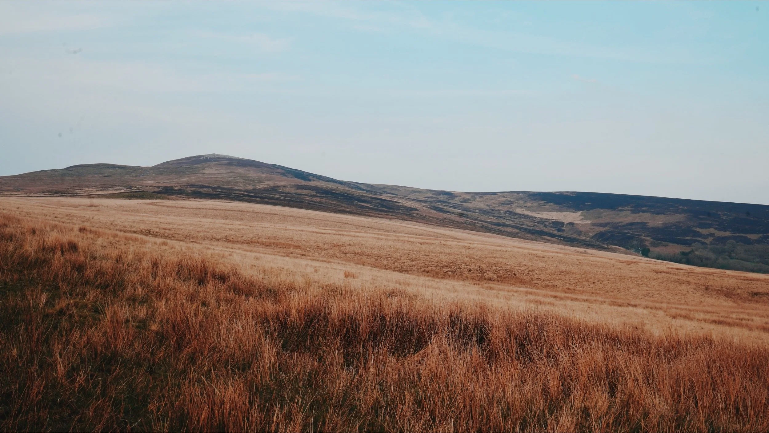 Open grassland with tall, wild grasses in the foreground, rolling hills in the background, and a partly cloudy sky overhead.