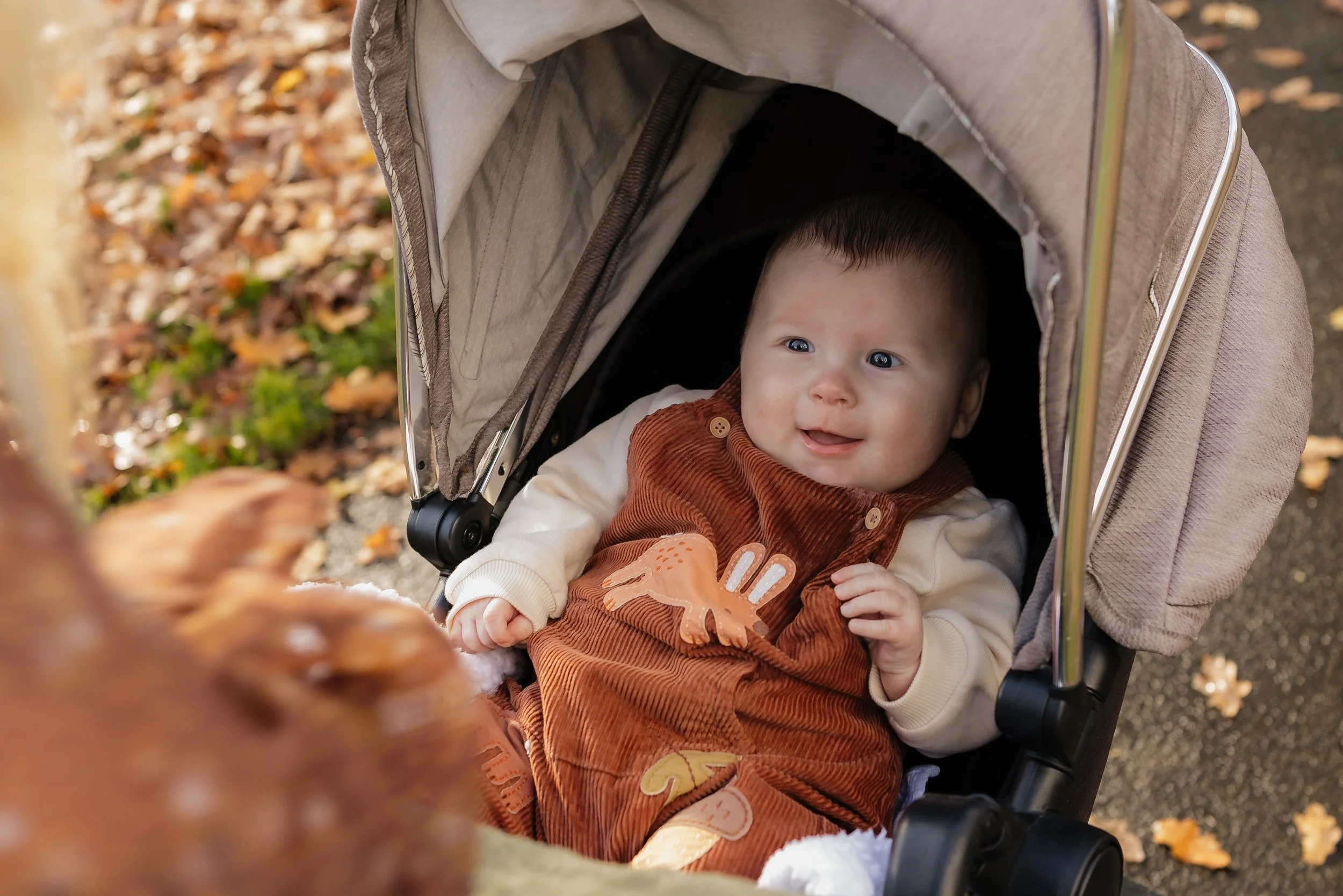 A baby sitting in a stroller, looking up with a curious expression, outdoors with fallen leaves on the ground.