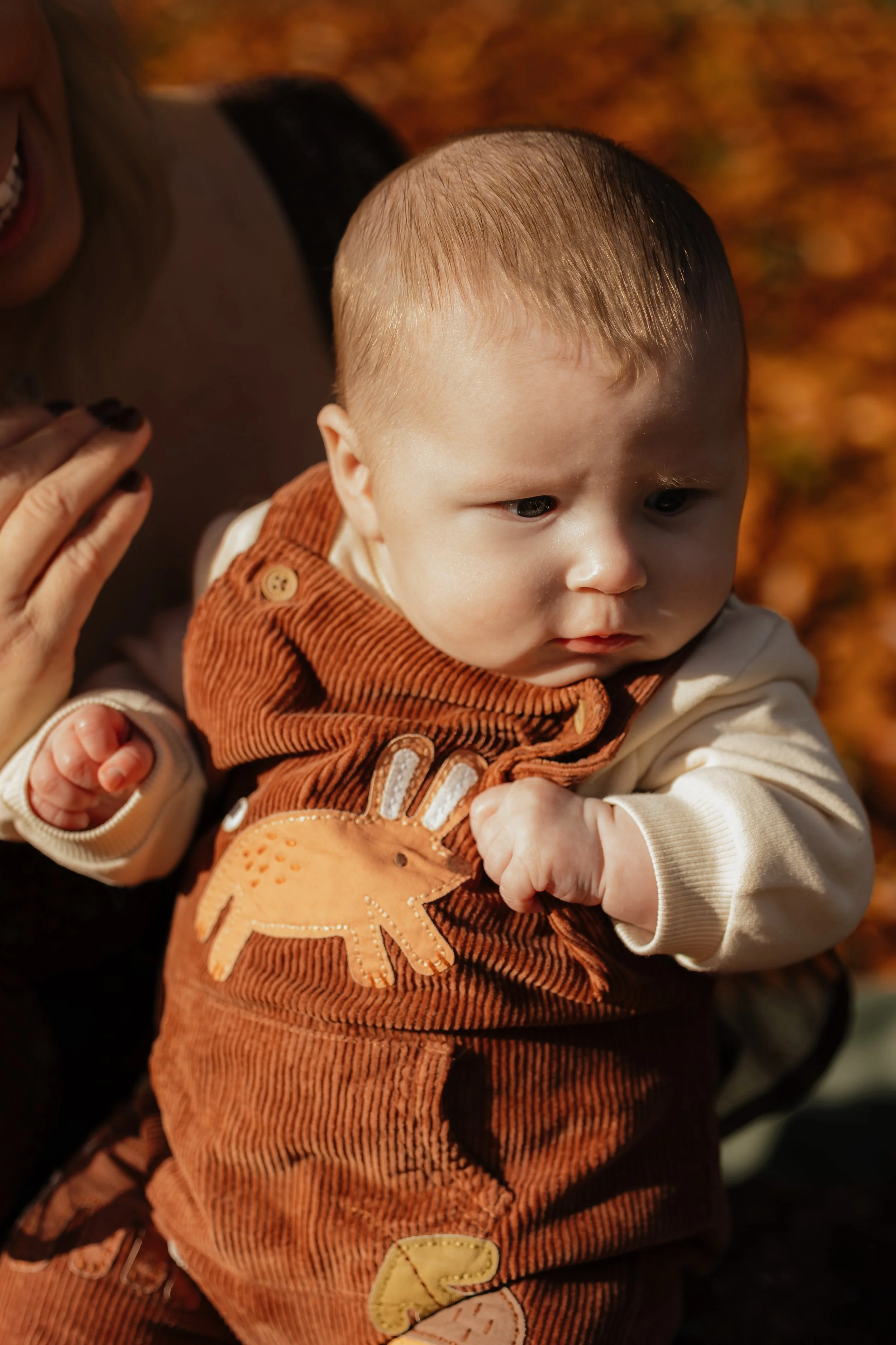 A baby dressed in an orange corduroy outfit with a bear patch, held by an adult, outdoors during fall with colorful leaves on the ground.