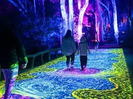 Bloom Light Show