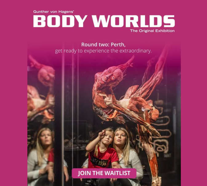 Body Works Exhibition