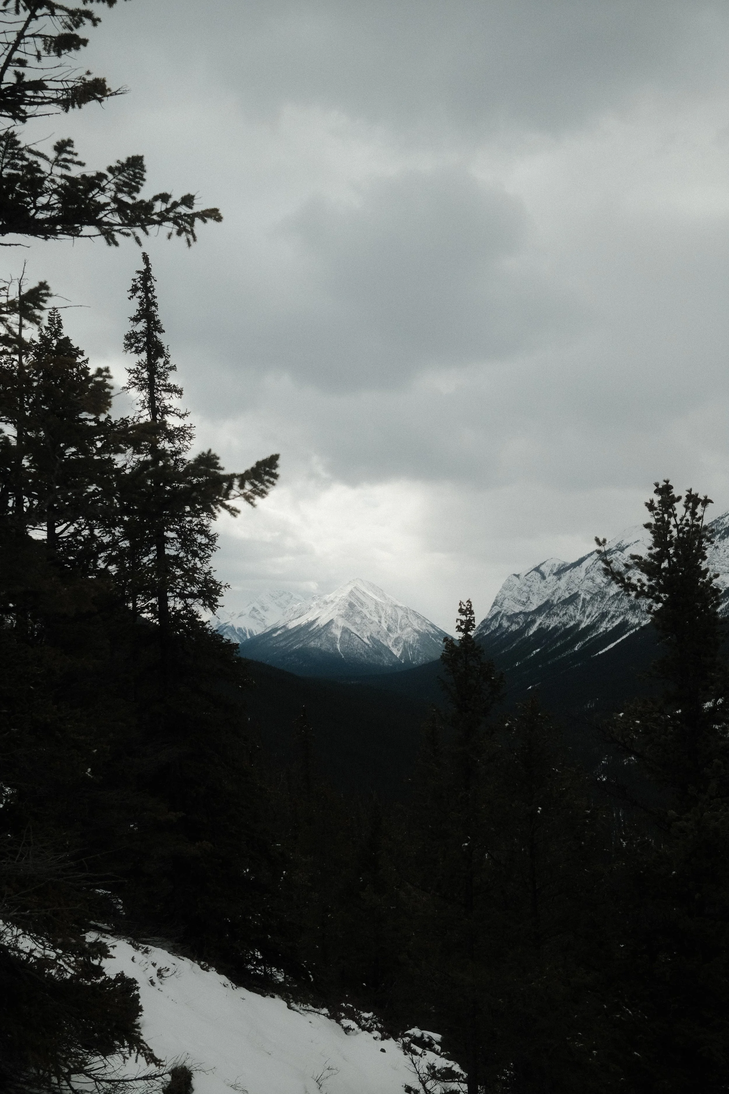 DSCF0816.jpeg