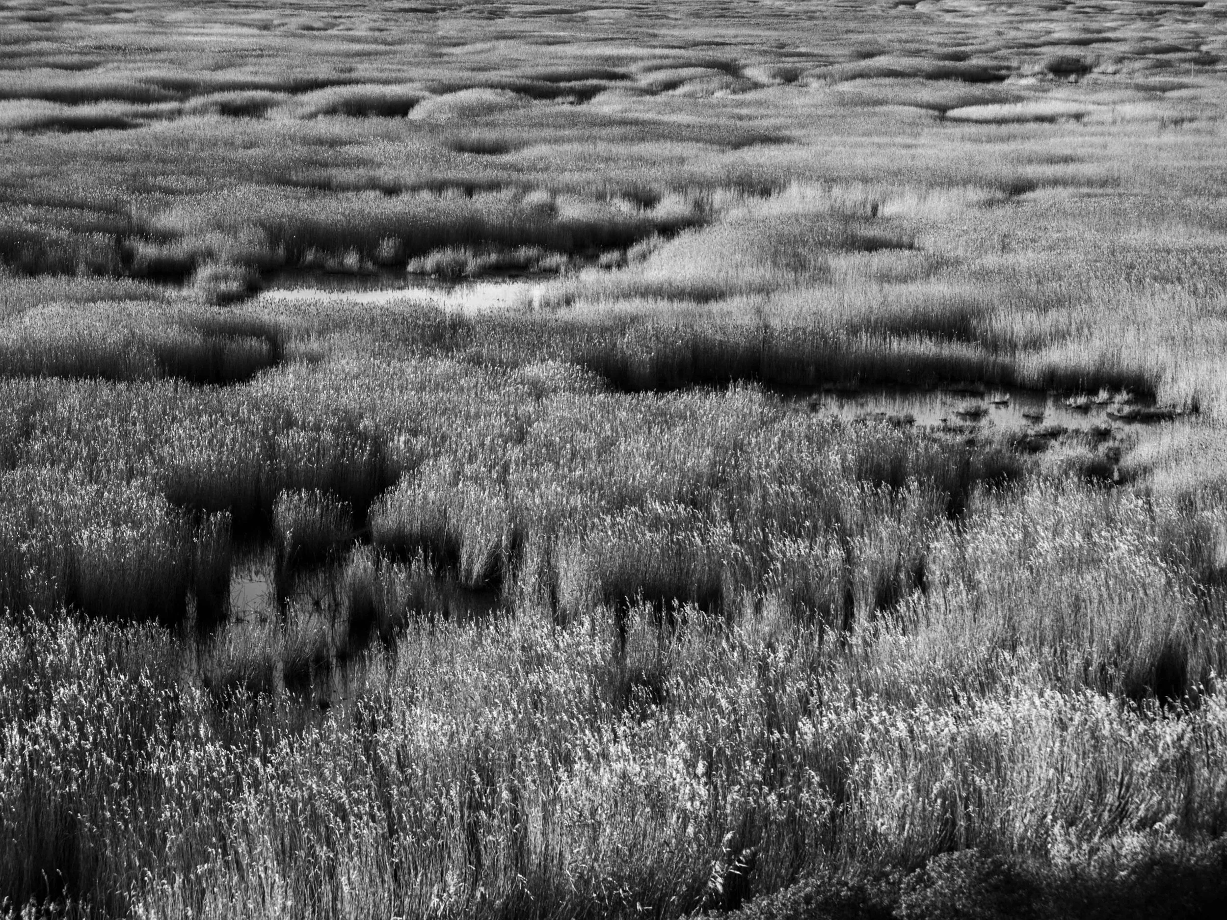 231201_13.jpg
