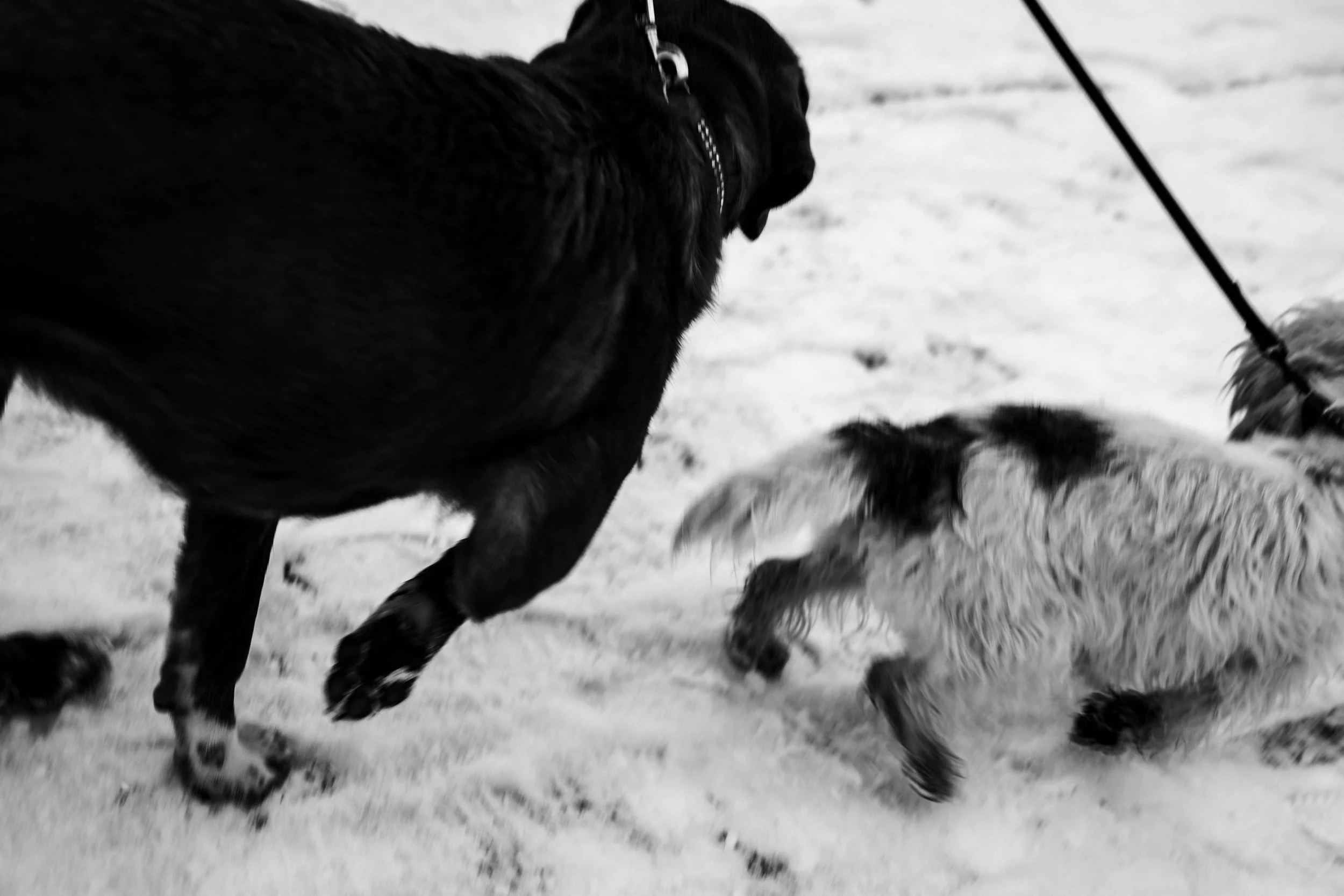 231202_11.jpg