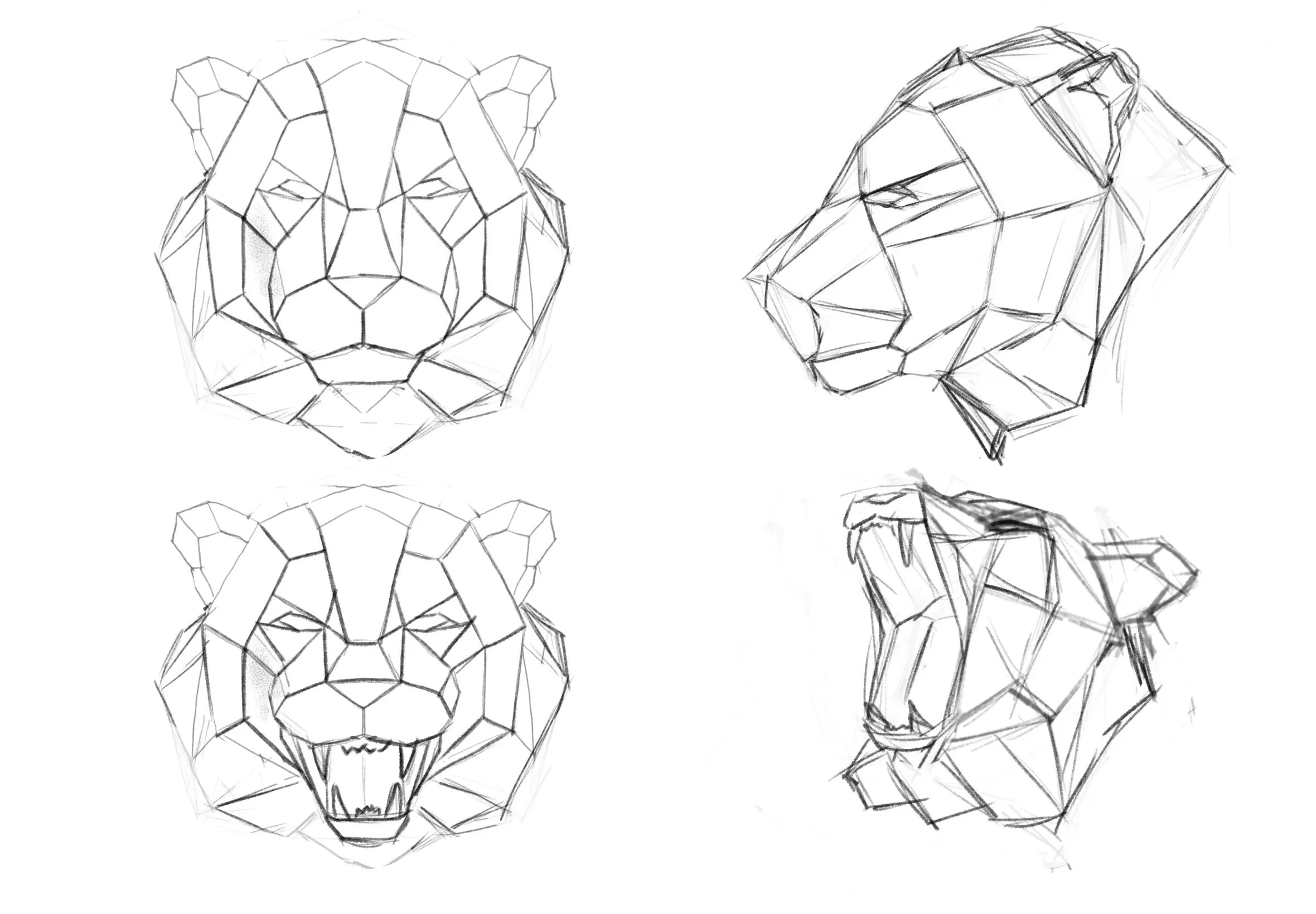 Tiger gem sketches