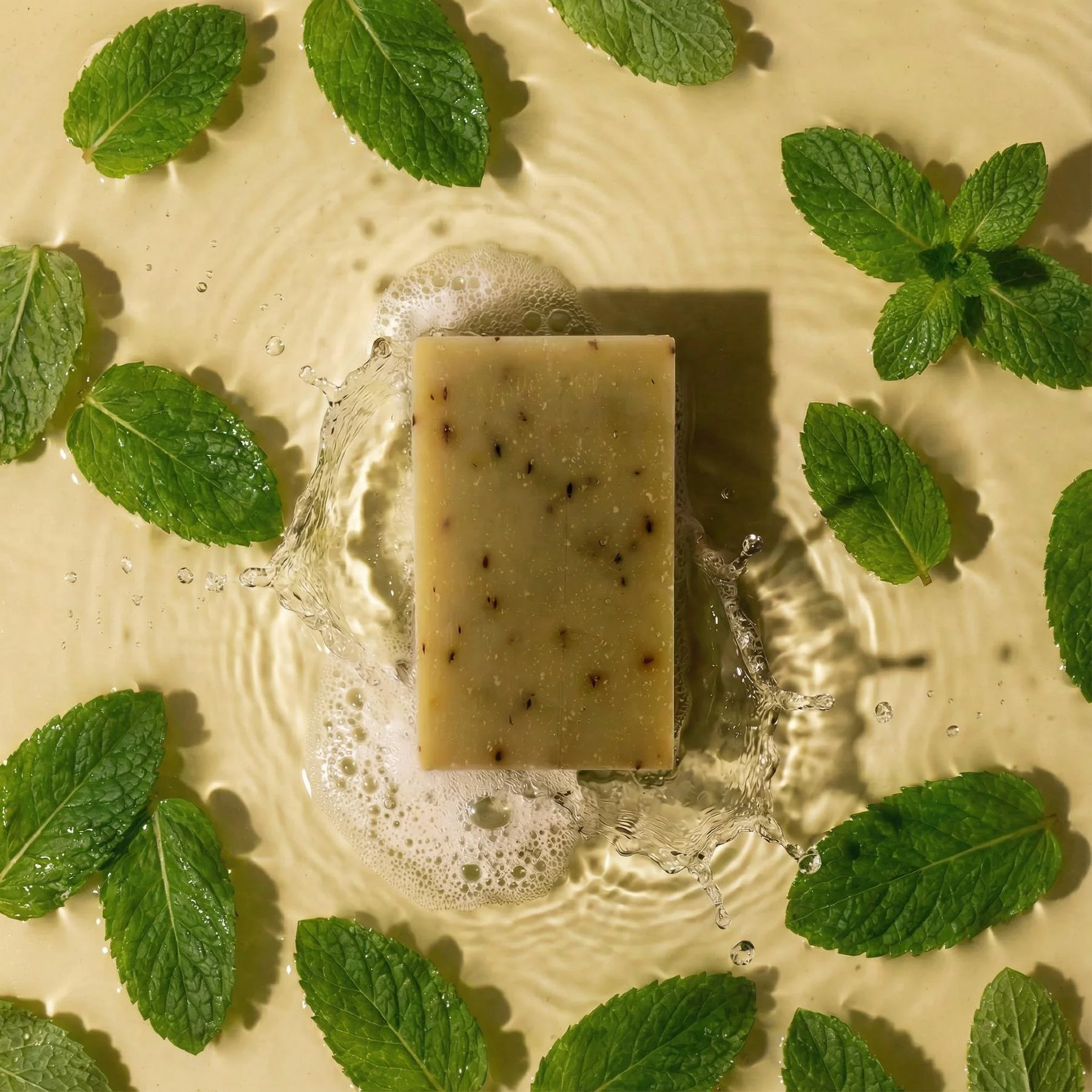 Peppermint Leaf | Coconut Soap