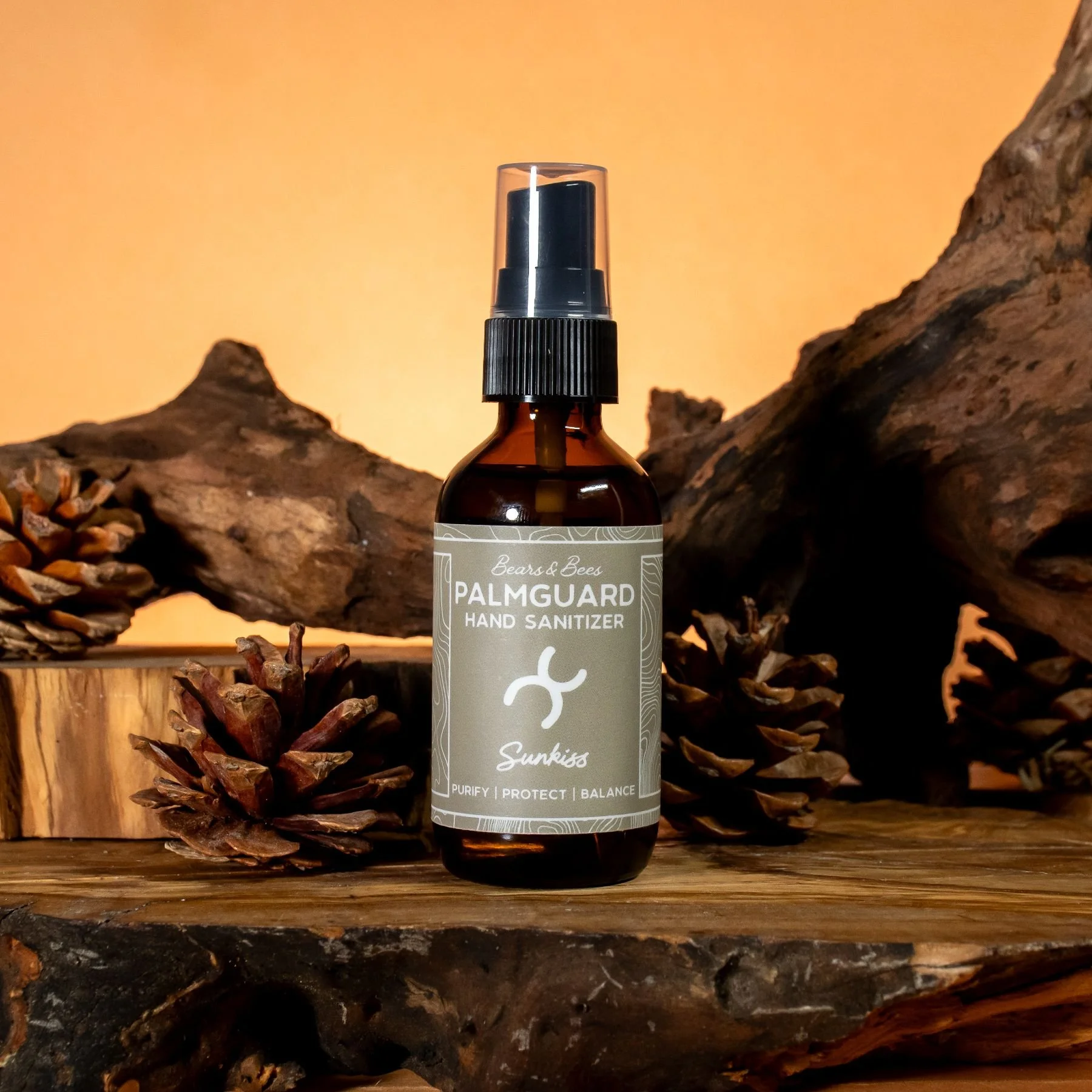 palmguard hand sanitizer.jpg